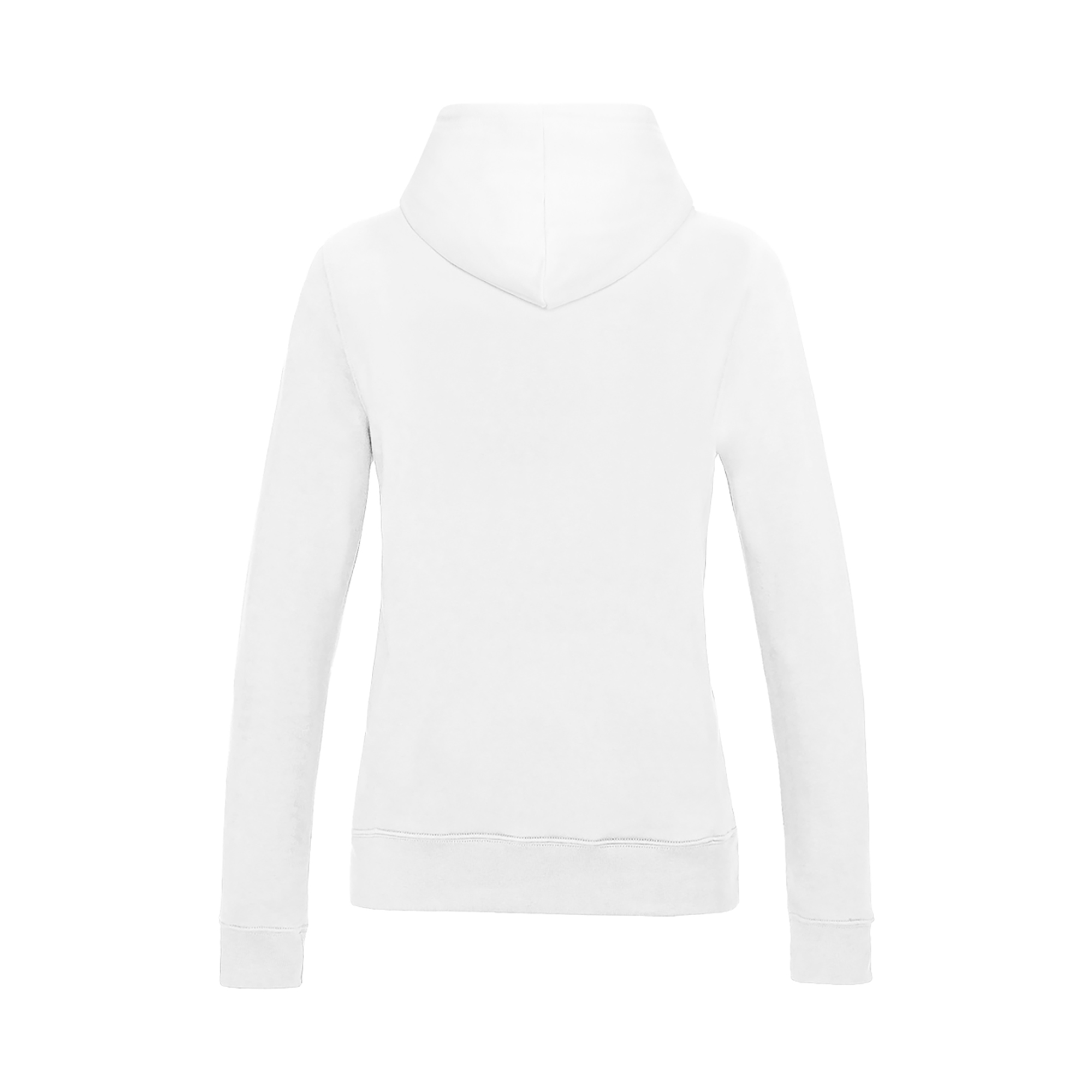 Picture of Awdis College Hoodie (Womens)