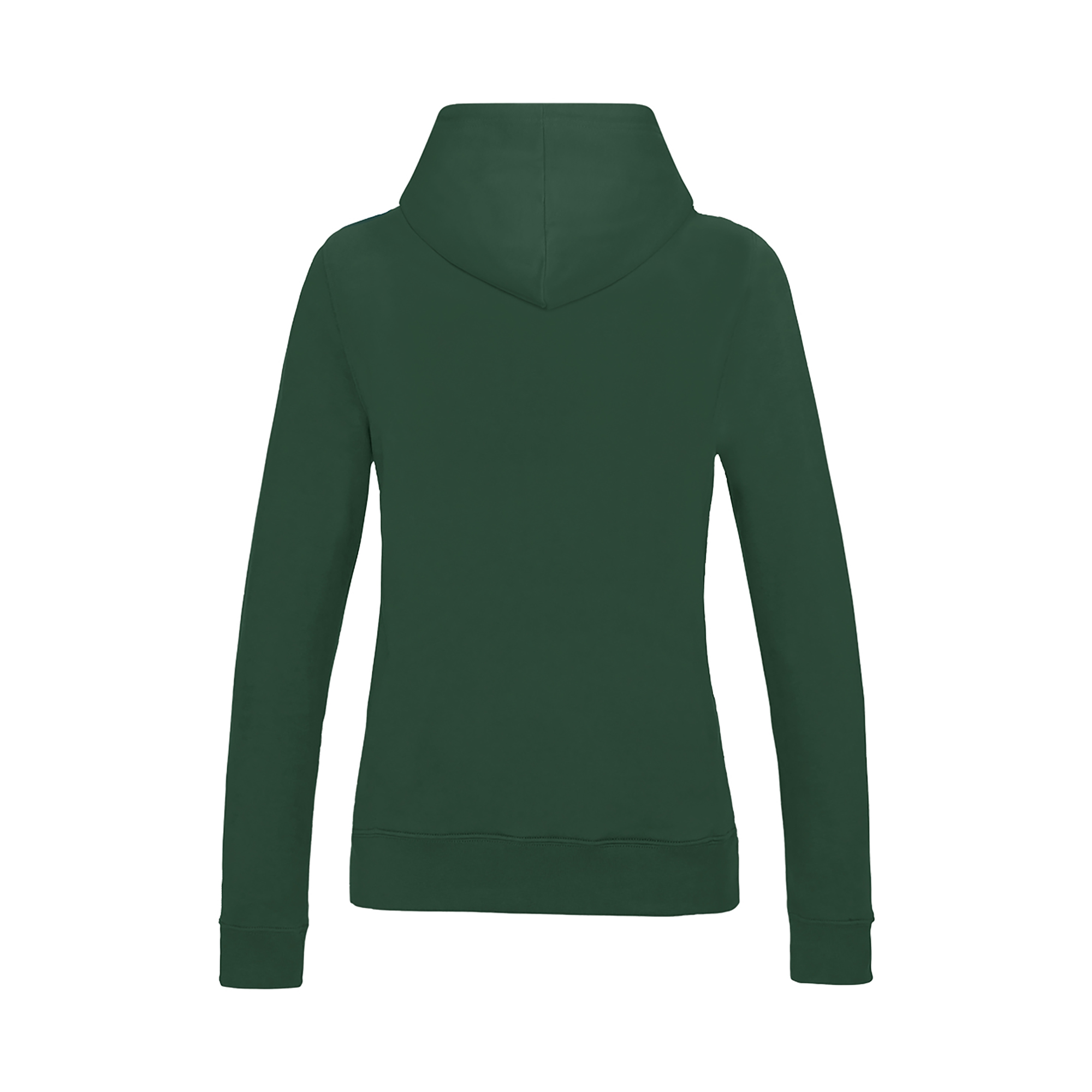 Picture of Awdis College Hoodie (Womens)