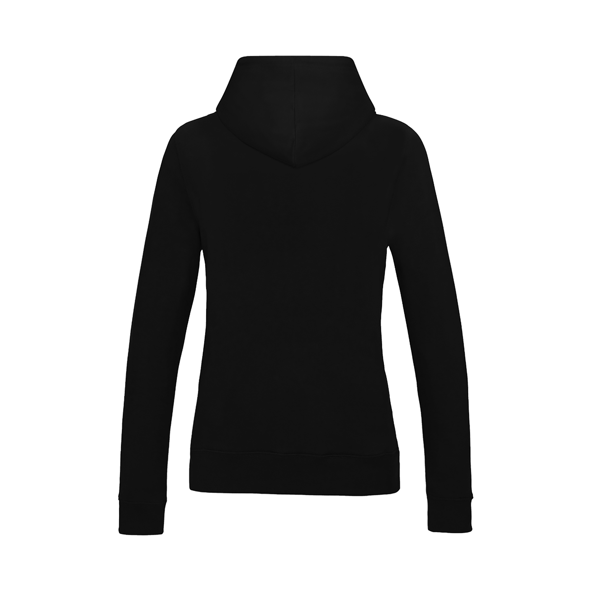 Picture of Awdis College Hoodie (Womens)