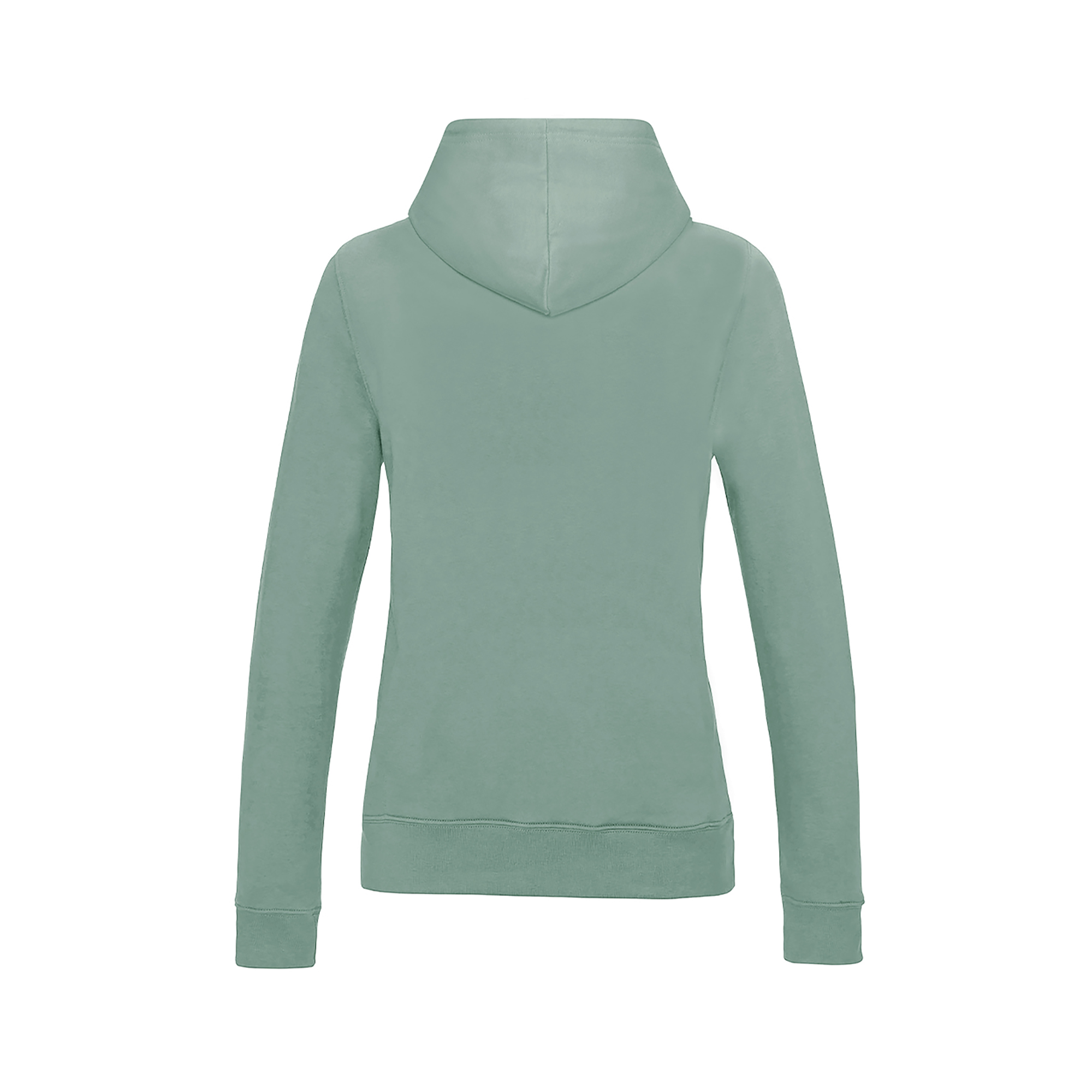 Picture of Awdis College Hoodie (Womens)