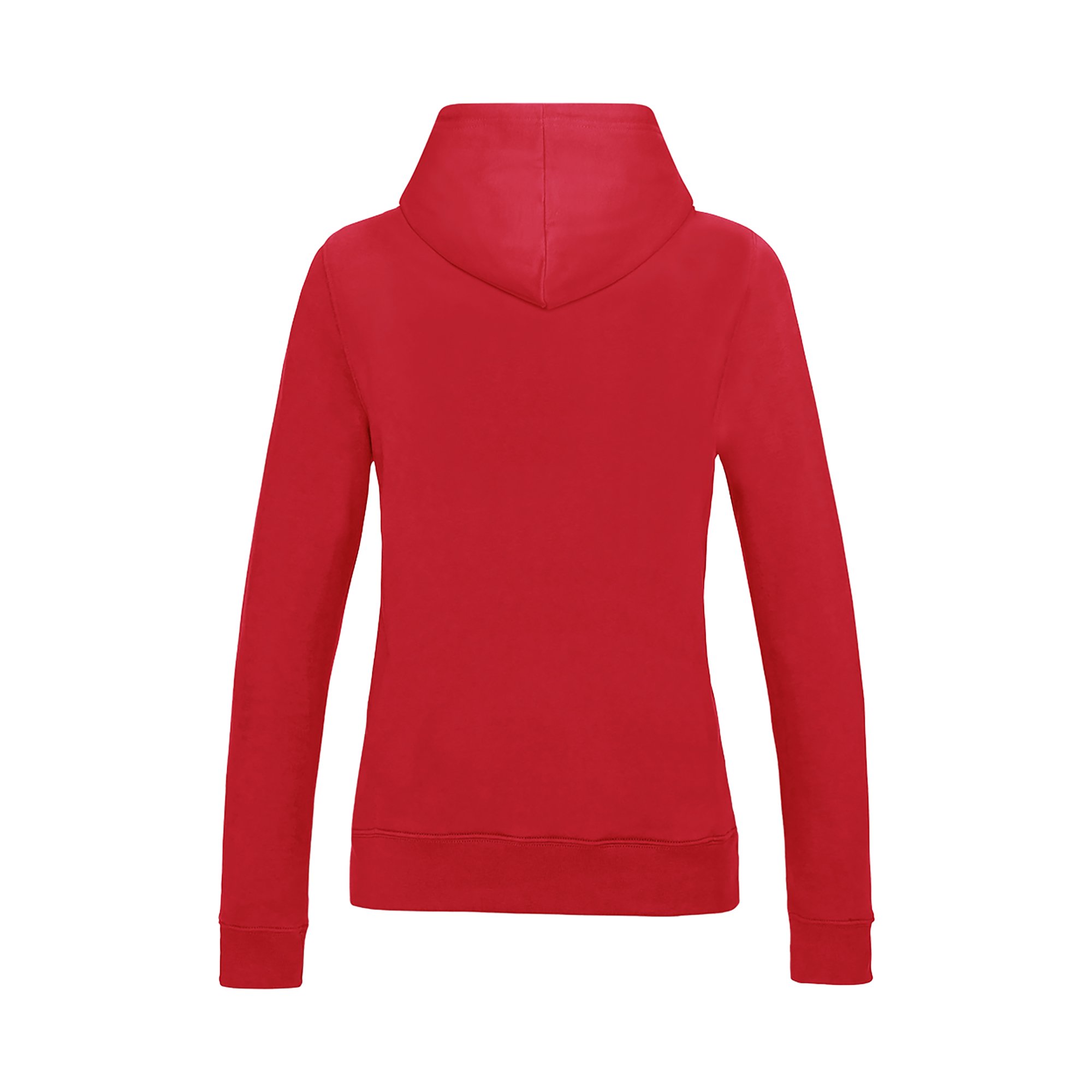 Picture of Awdis College Hoodie (Womens)
