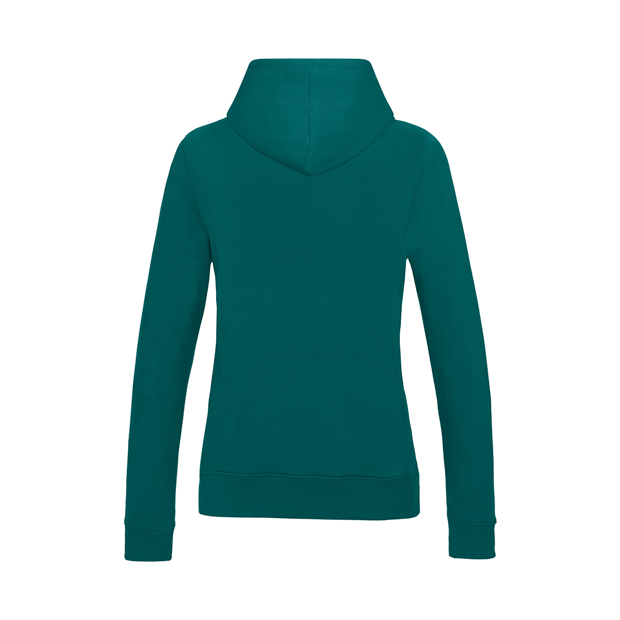 Picture of Awdis College Hoodie (Womens)