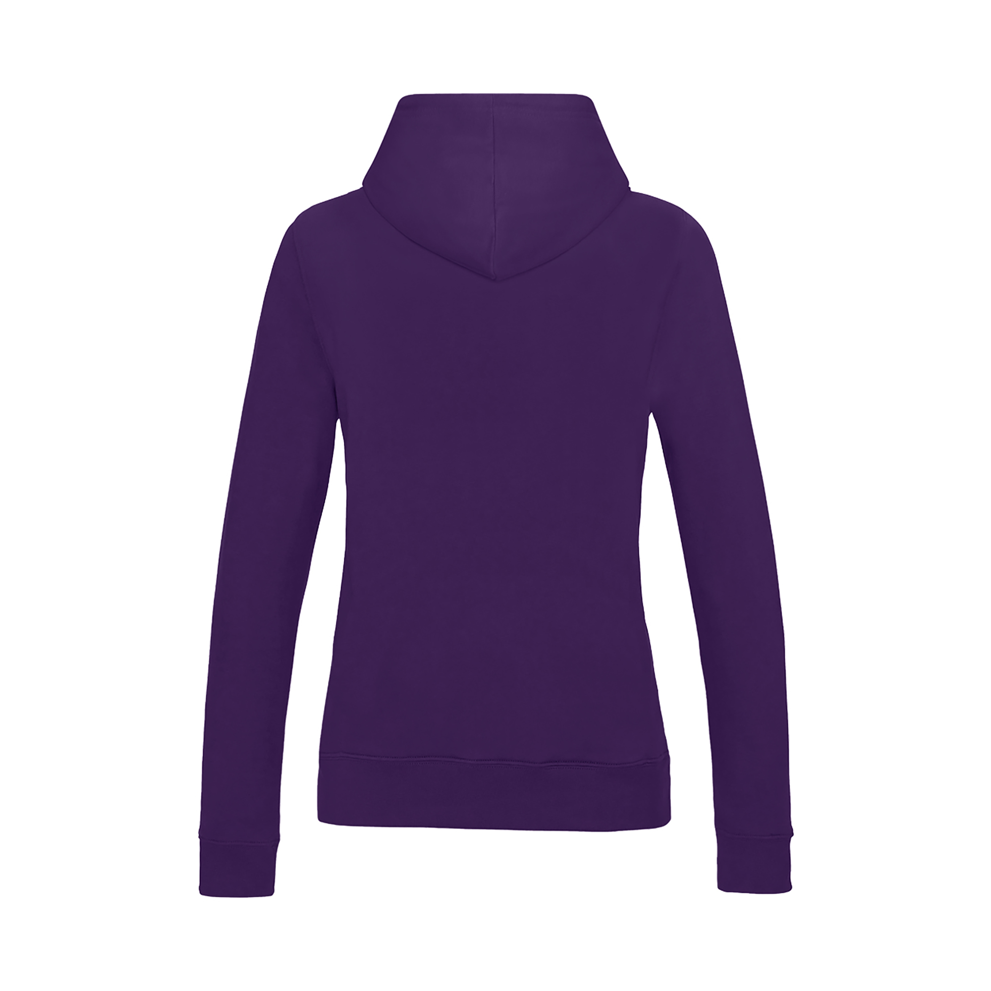 Picture of Awdis College Hoodie (Womens)