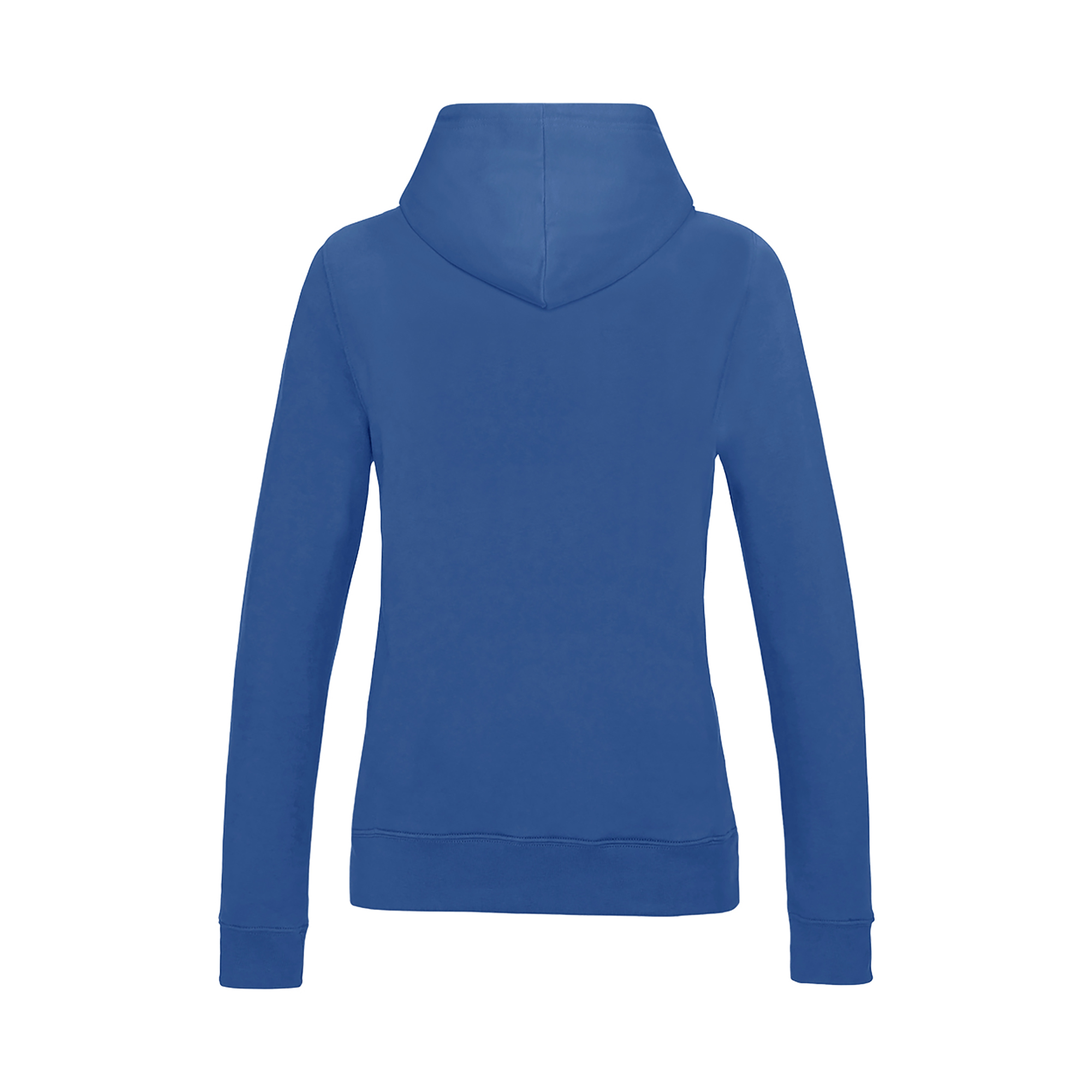Picture of Awdis College Hoodie (Womens)