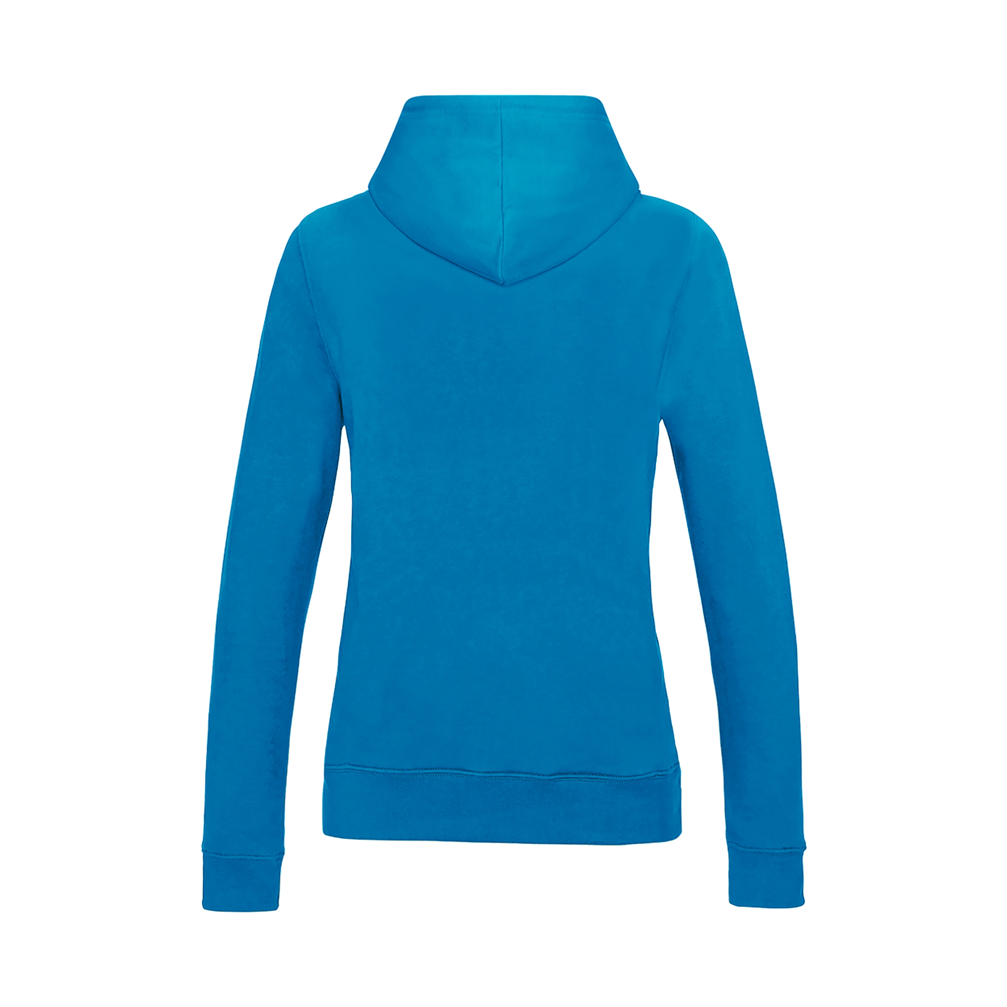 Picture of Awdis College Hoodie (Womens)