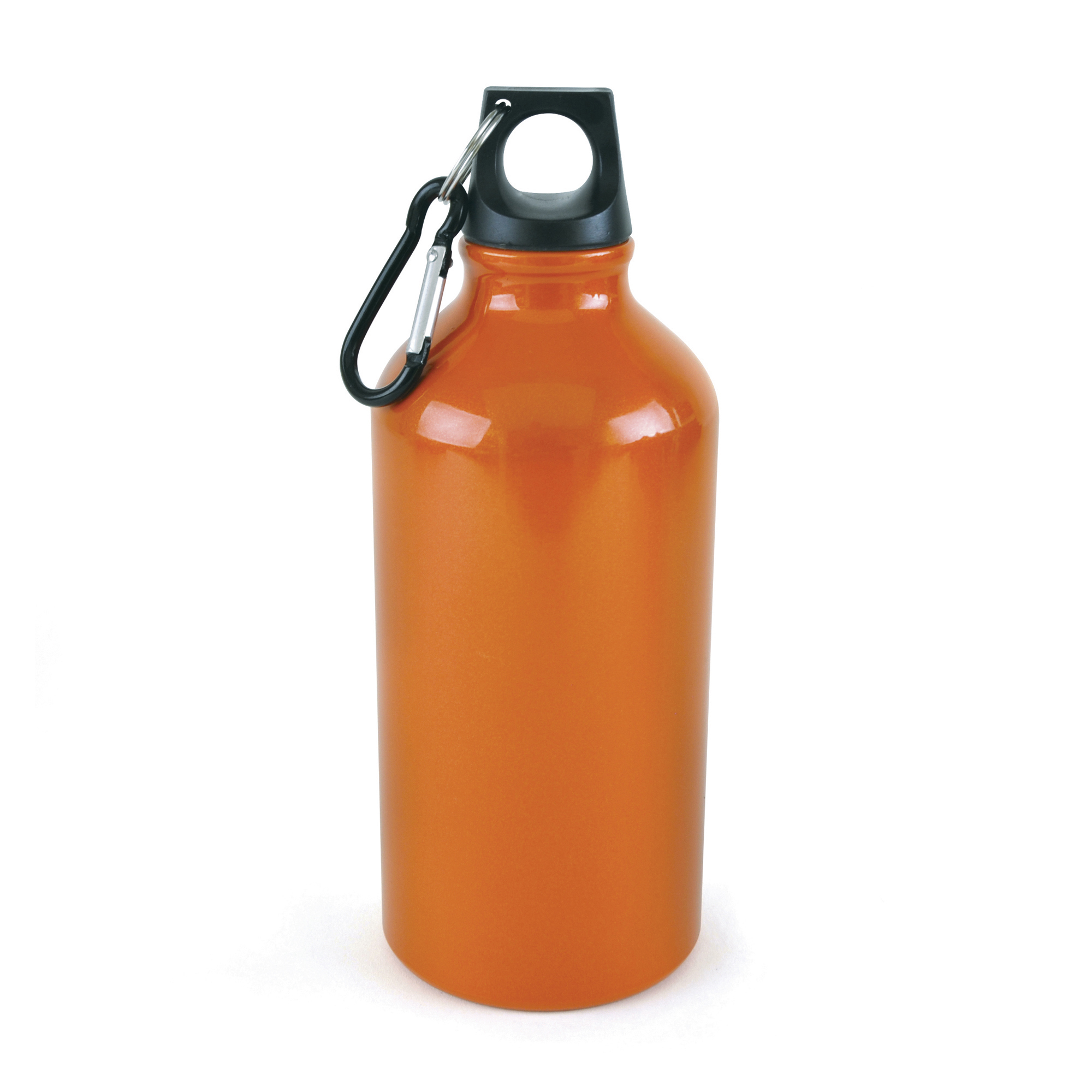 Picture of Pollock Glossy 550ml Sports Bottle