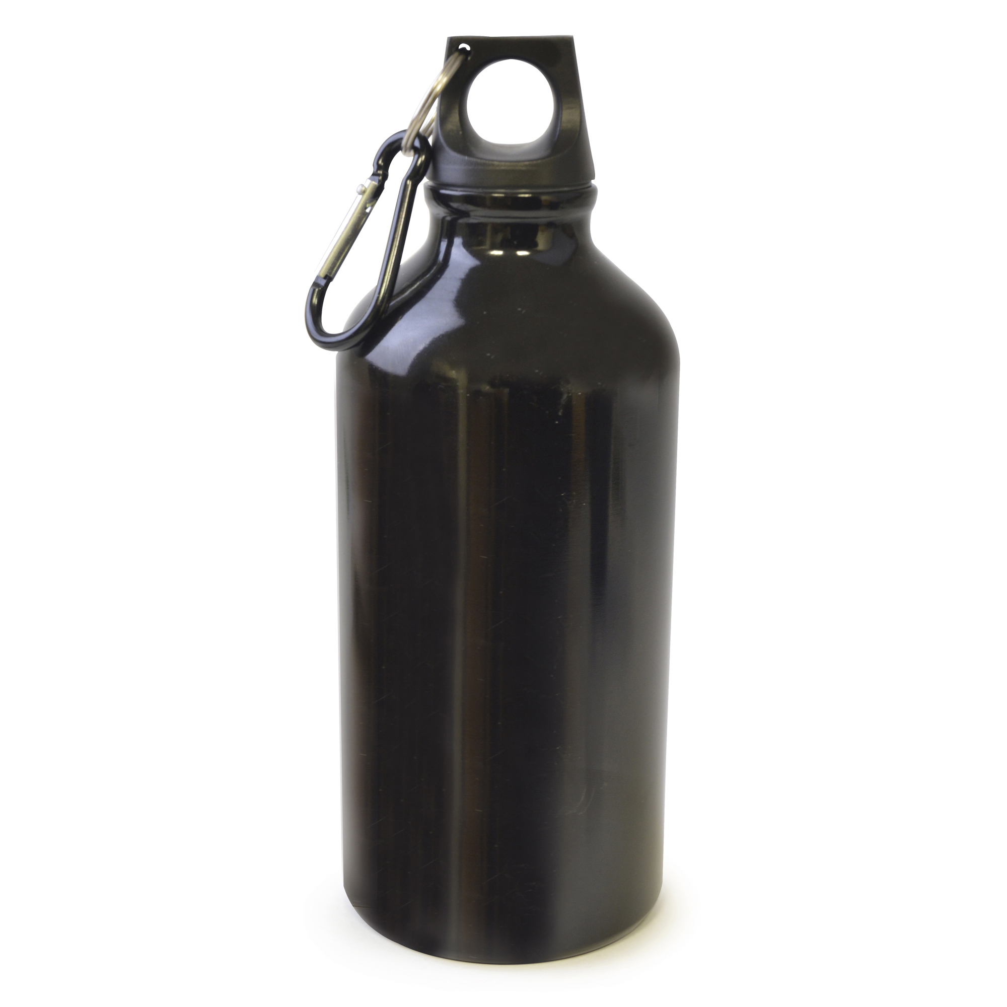 Picture of Pollock Glossy 550ml Sports Bottle