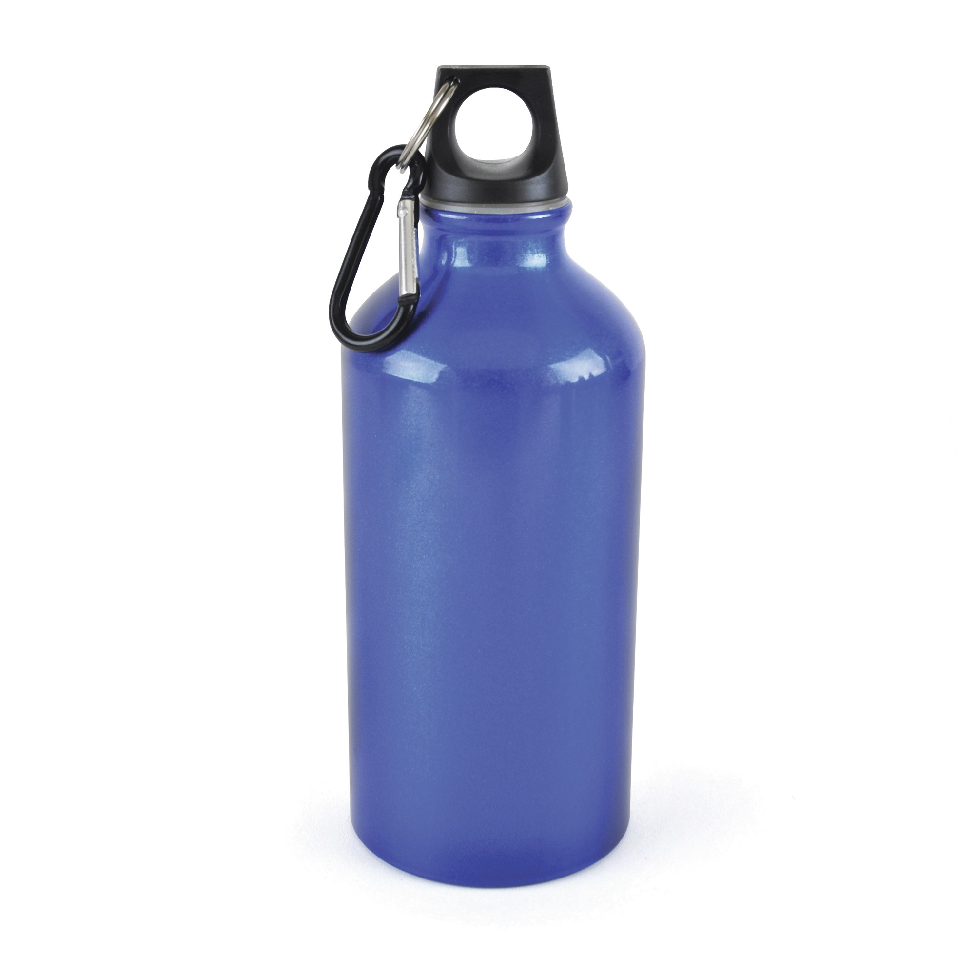 Picture of Pollock Glossy 550ml Sports Bottle