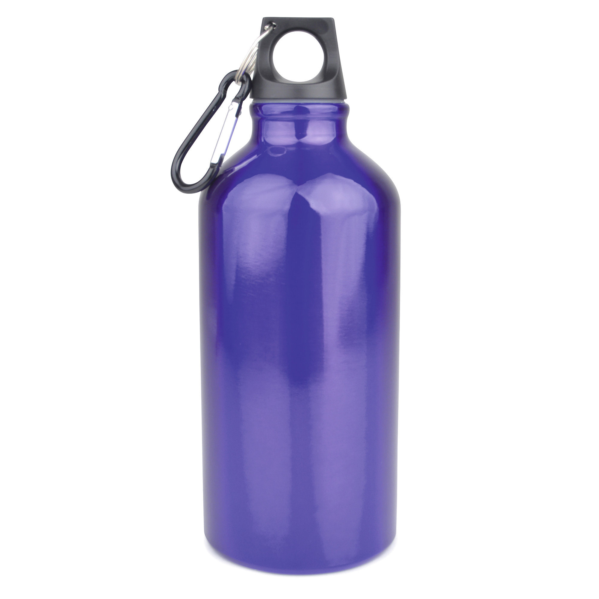 Picture of Pollock Glossy 550ml Sports Bottle