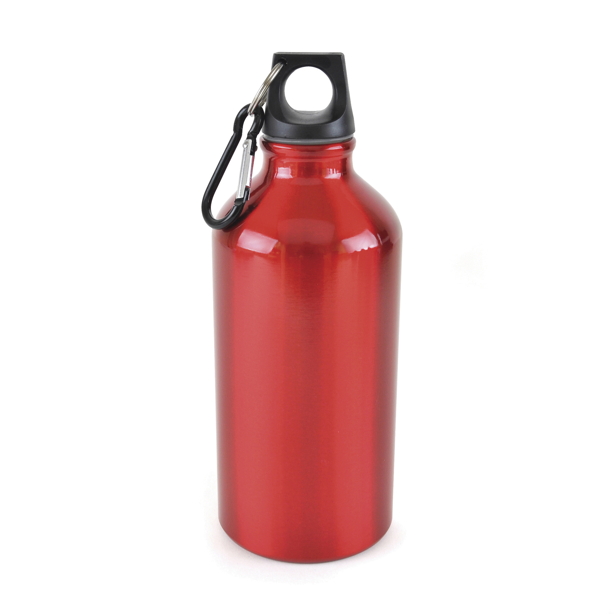 Picture of Pollock Glossy 550ml Sports Bottle