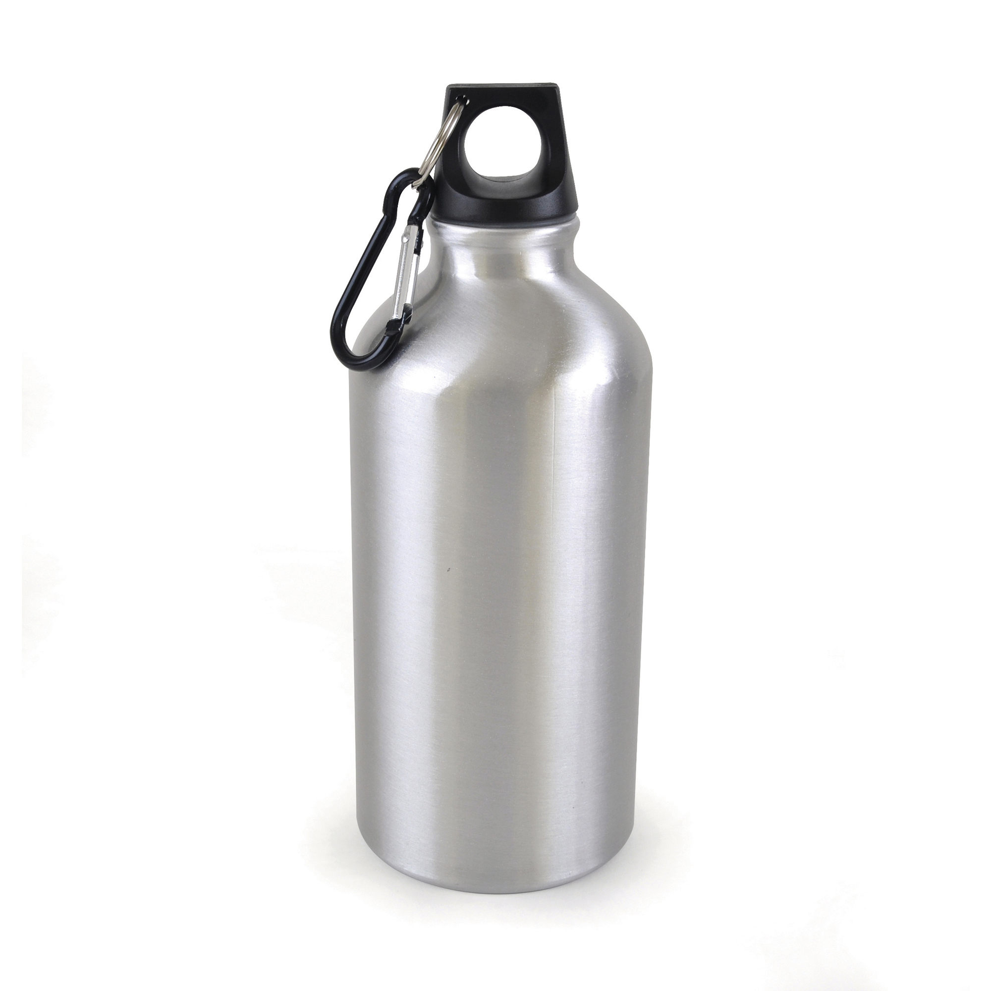 Picture of Pollock Glossy 550ml Sports Bottle