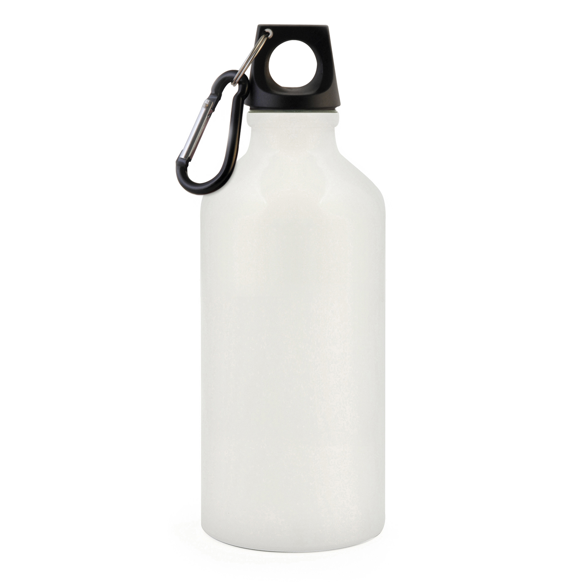 Picture of Pollock Glossy 550ml Sports Bottle