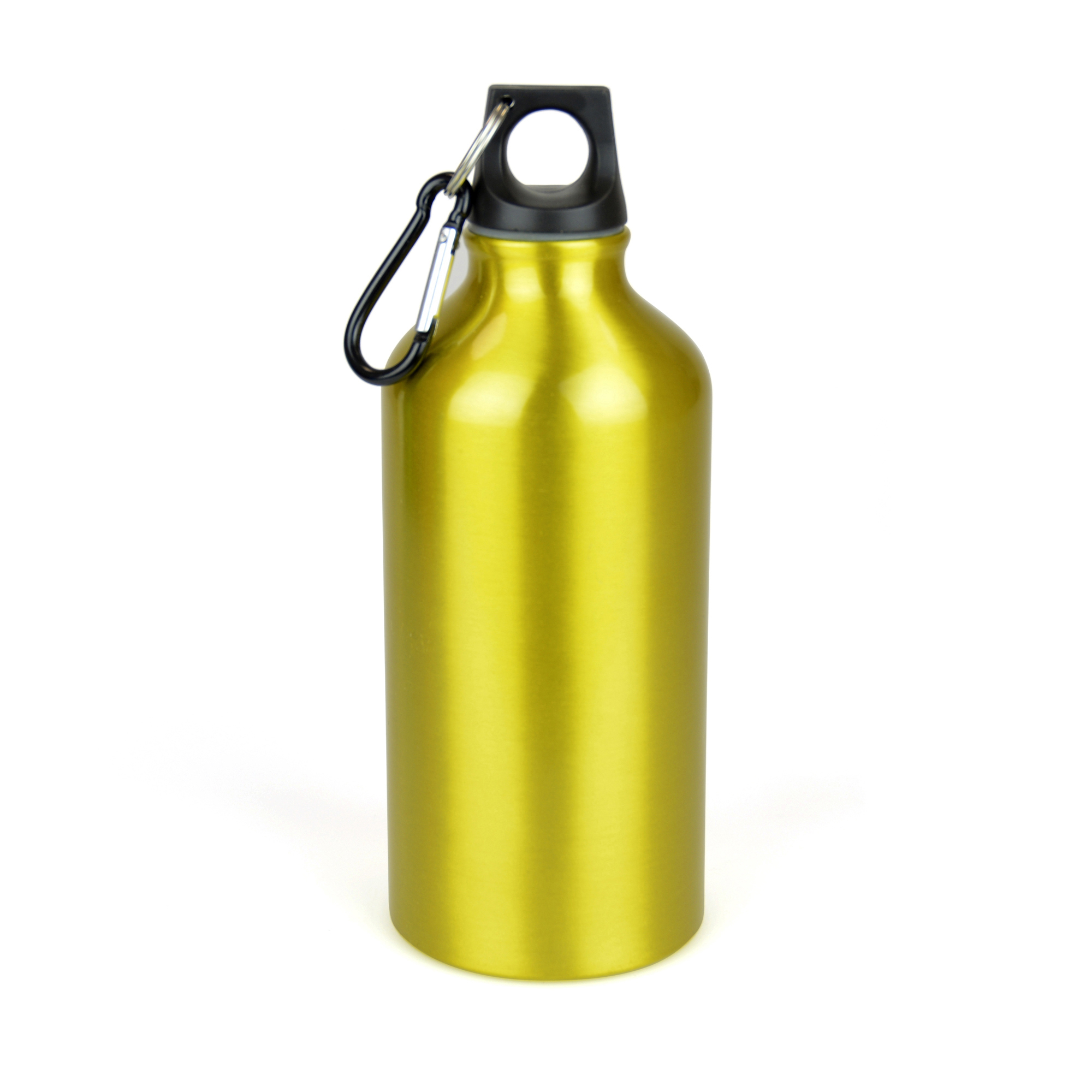 Picture of Pollock Glossy 550ml Sports Bottle