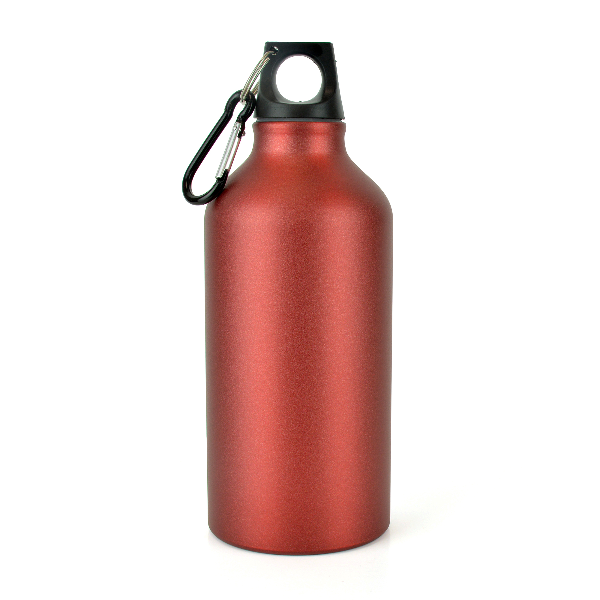 Picture of Pollock Frosted 550ml Sports Bottle
