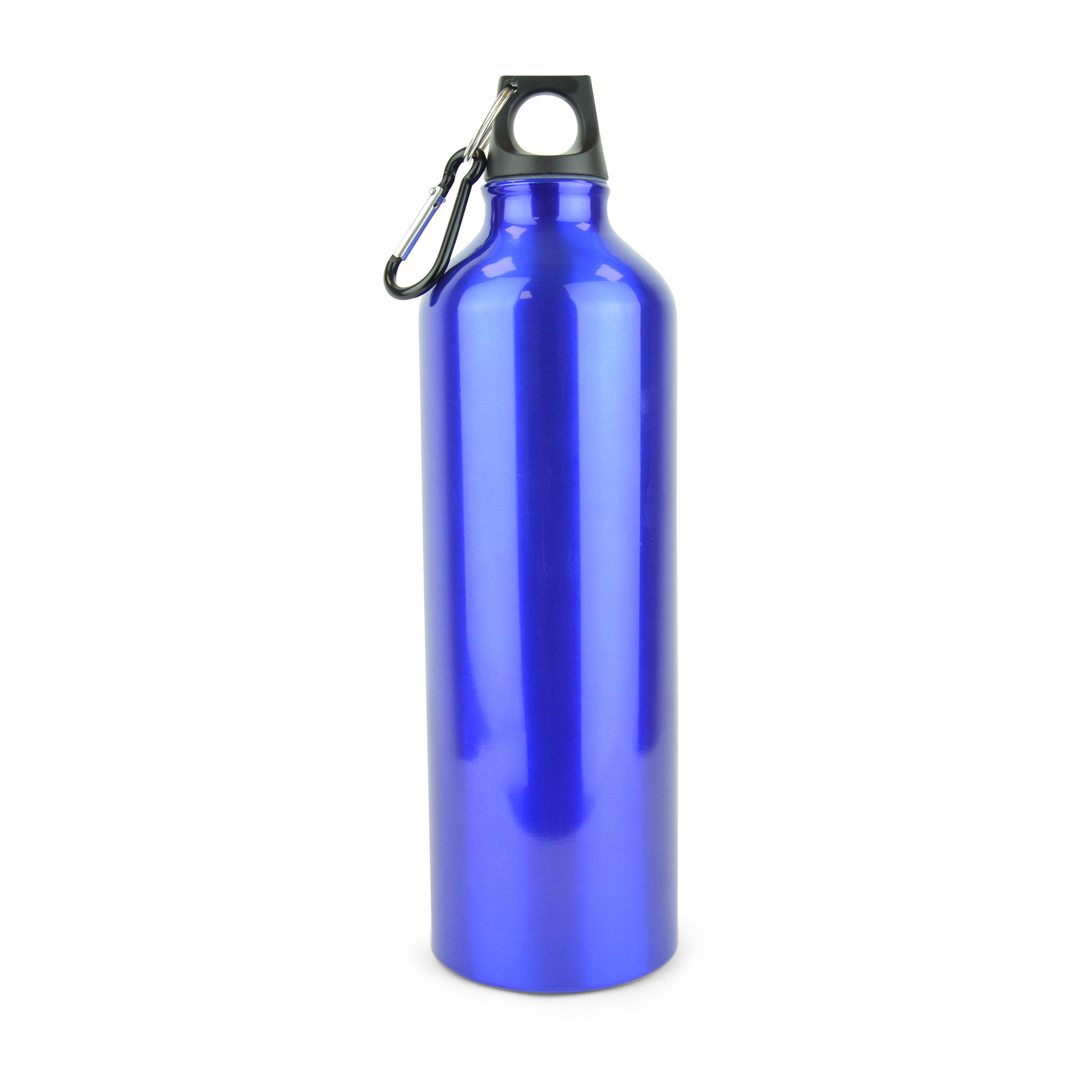 Picture of Pollock Glossy 750ml Sports Bottle