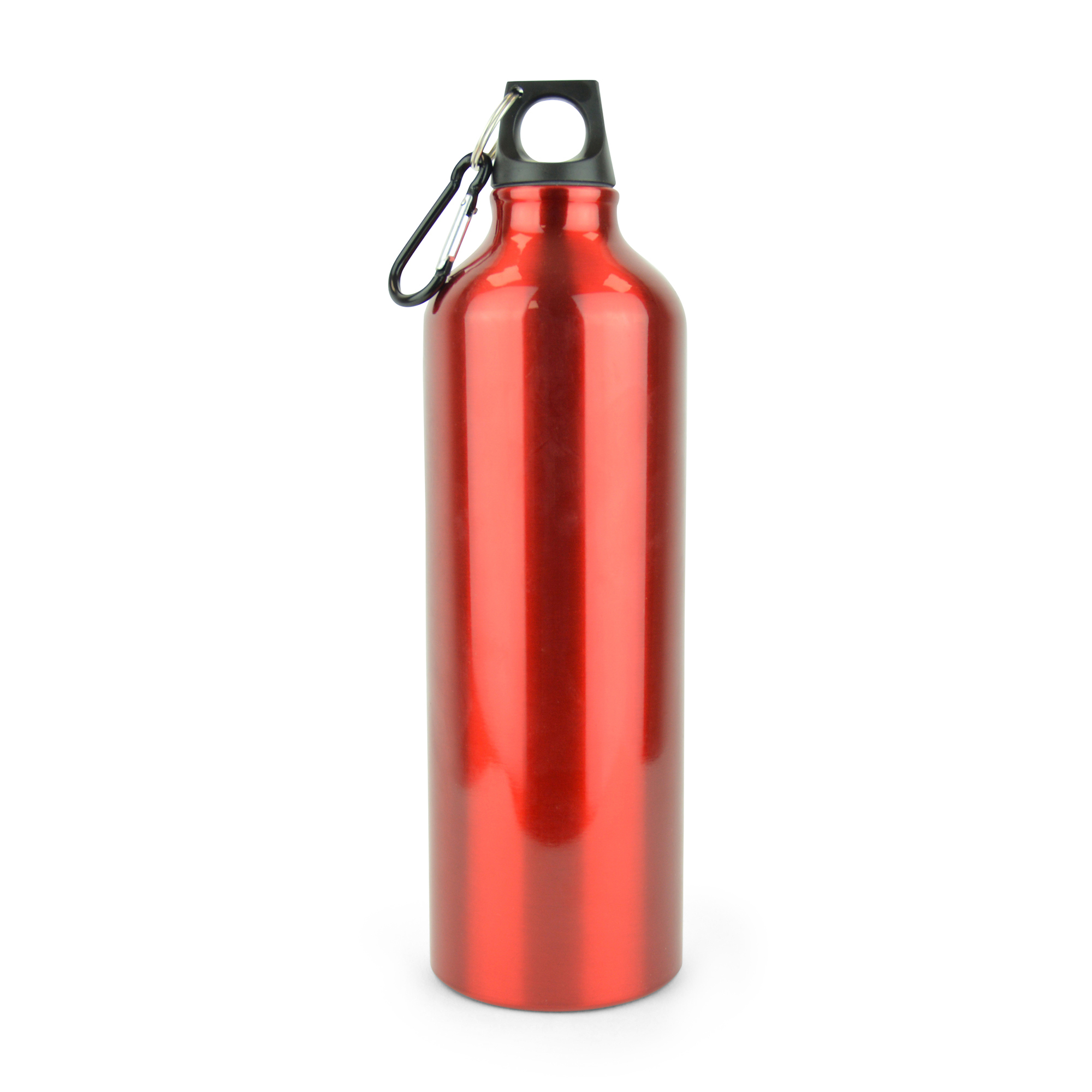 Picture of Pollock Glossy 750ml Sports Bottle