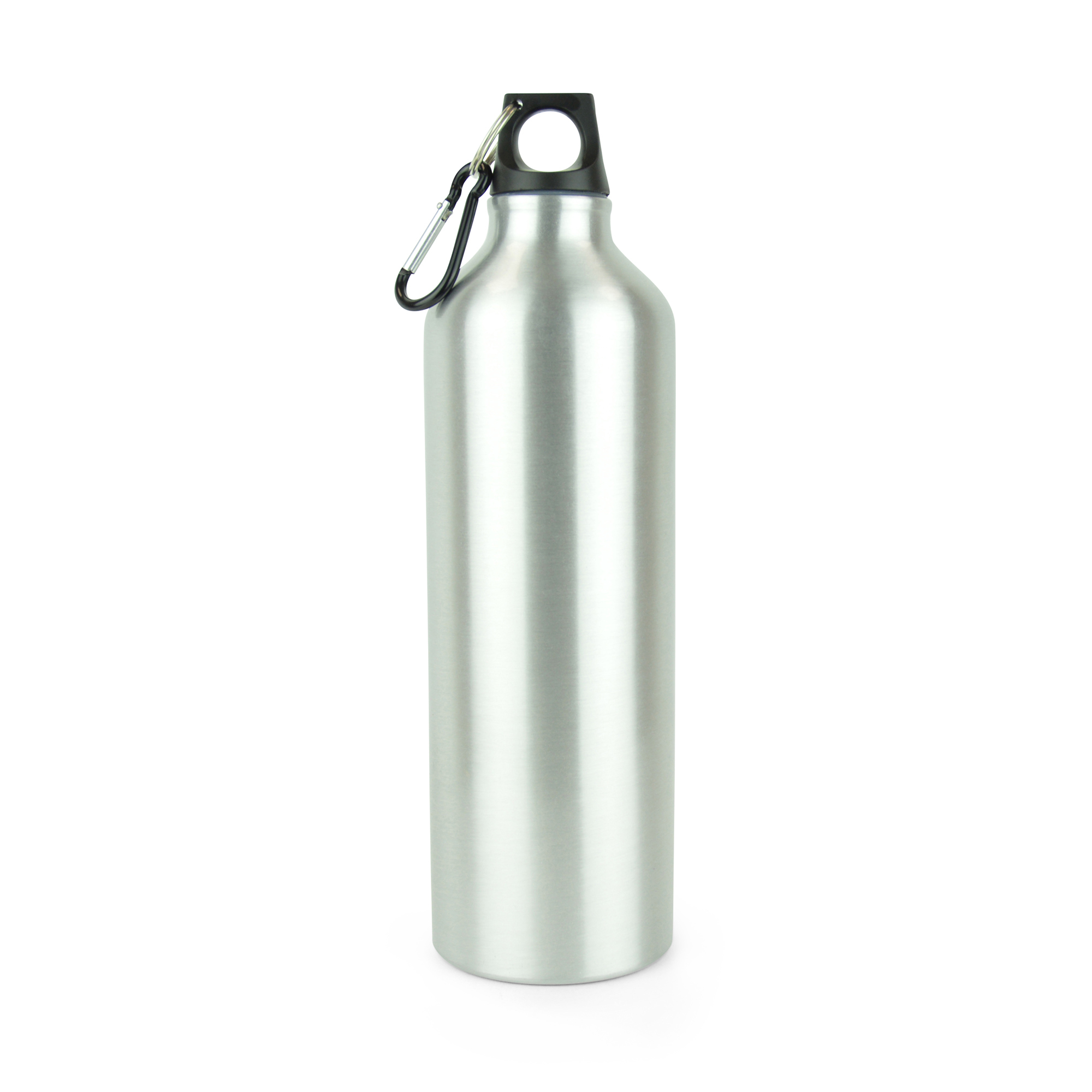 Picture of Pollock Glossy 750ml Sports Bottle