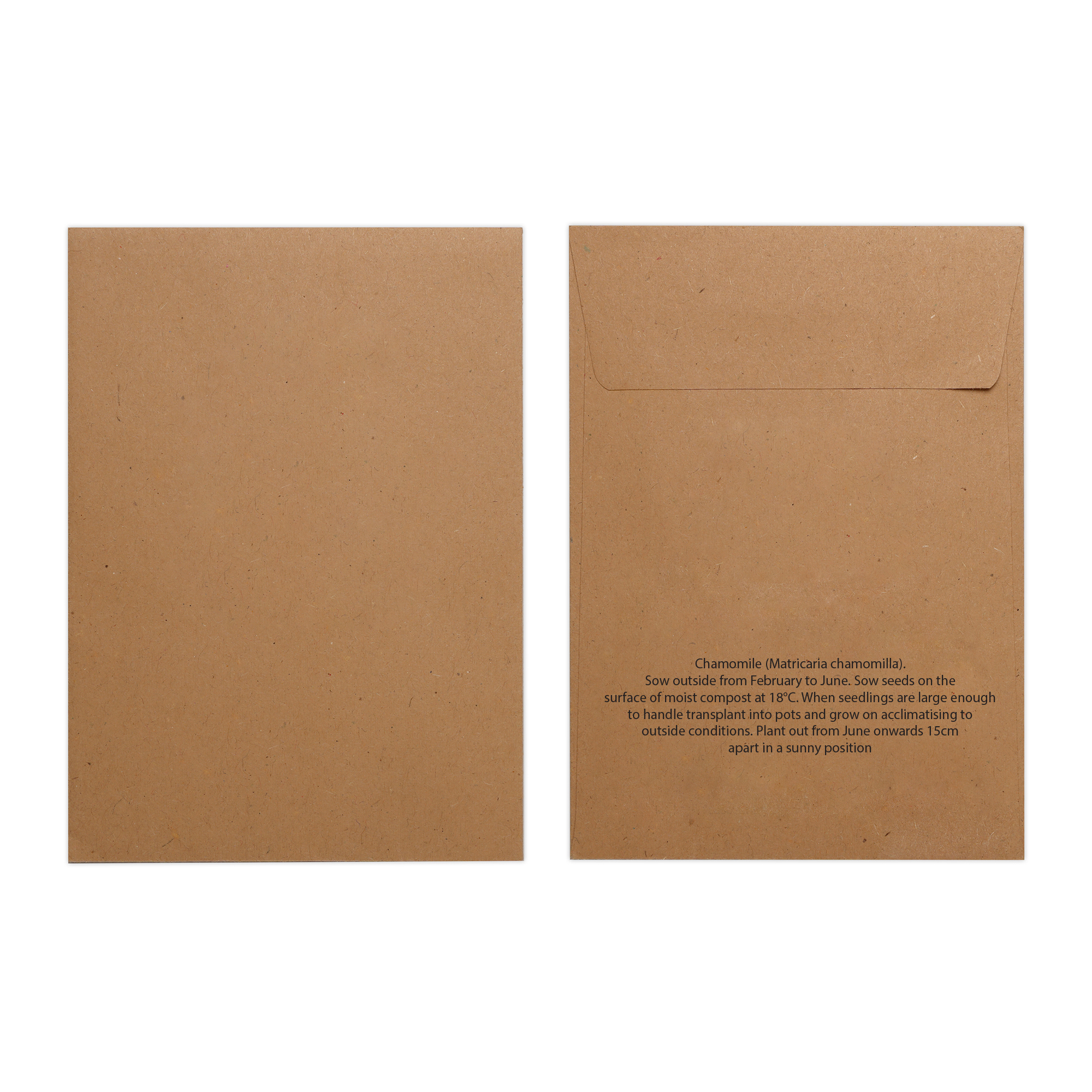 Picture of Natural Kraft Paper Seed Envelope