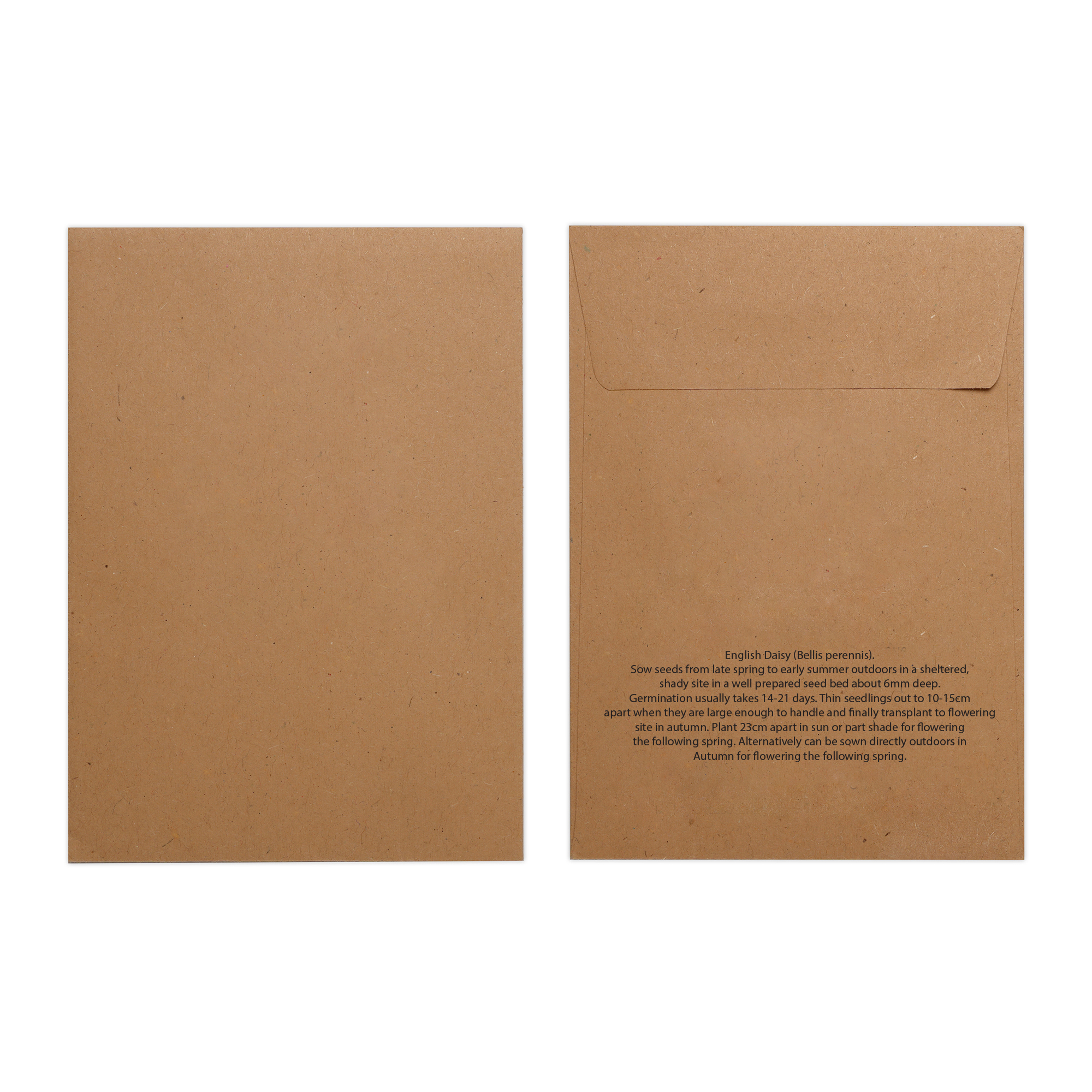 Picture of Natural Kraft Paper Seed Envelope