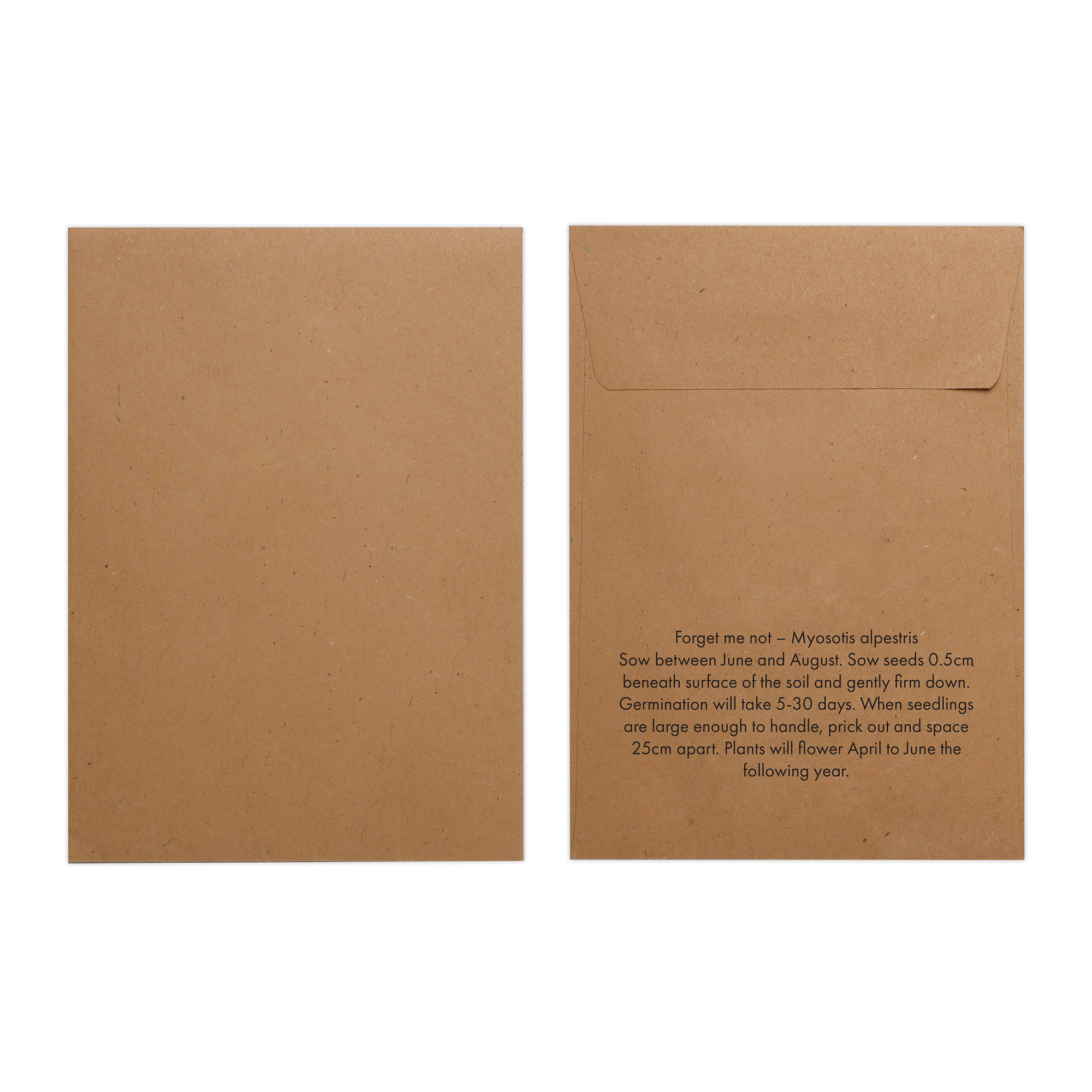 Picture of Natural Kraft Paper Seed Envelope