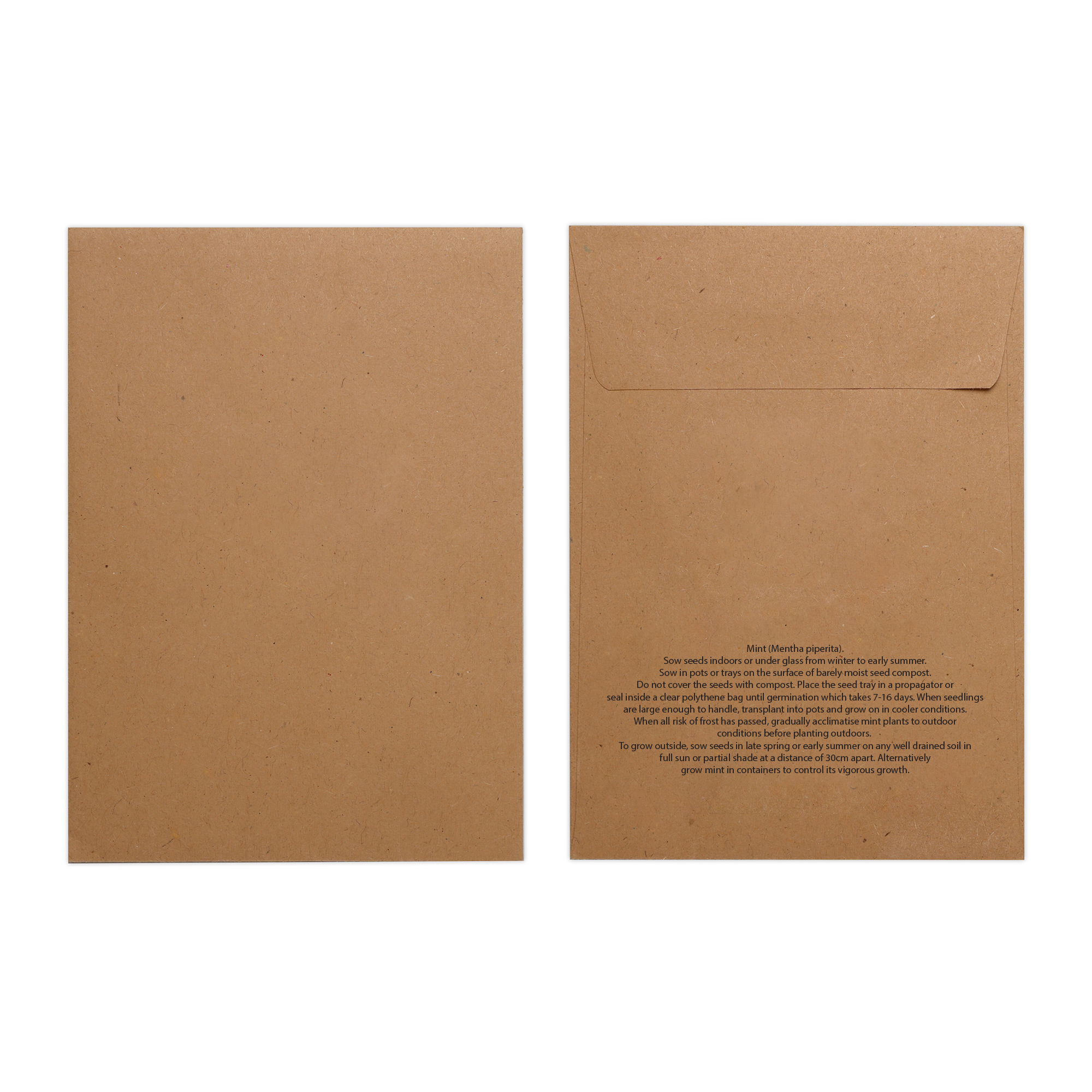 Picture of Natural Kraft Paper Seed Envelope