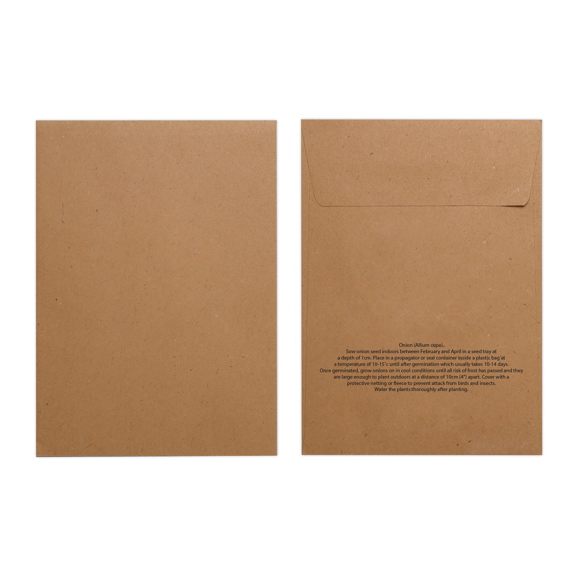 Picture of Natural Kraft Paper Seed Envelope