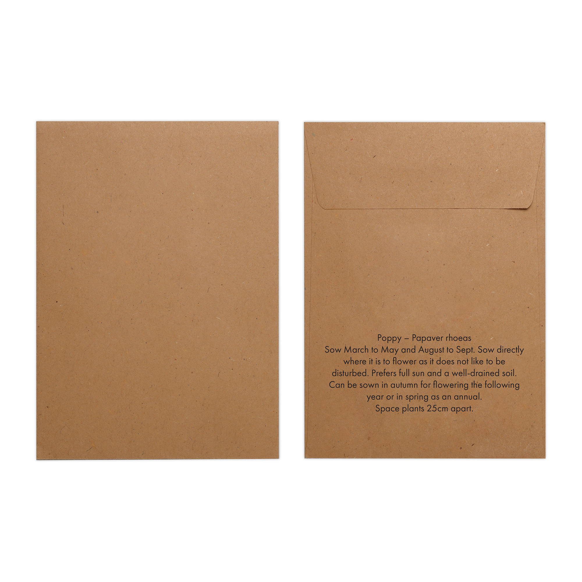 Picture of Natural Kraft Paper Seed Envelope