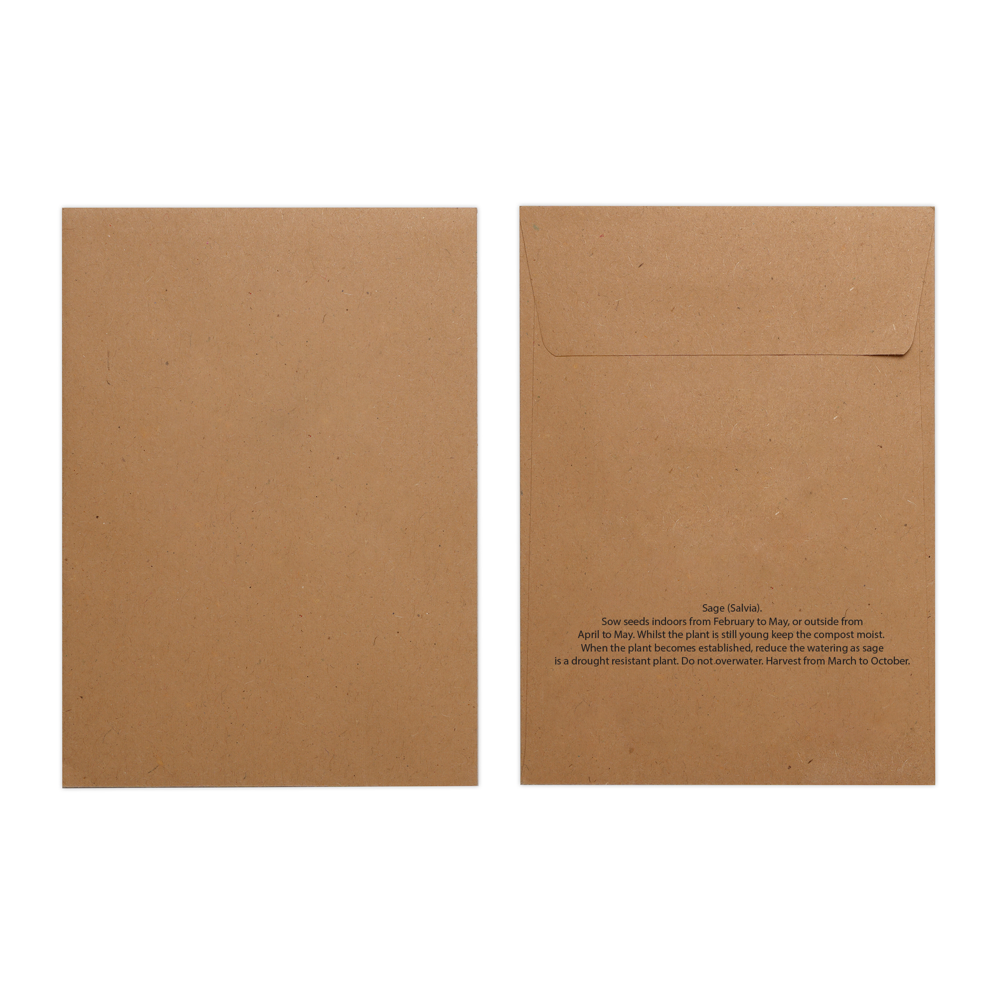 Picture of Natural Kraft Paper Seed Envelope