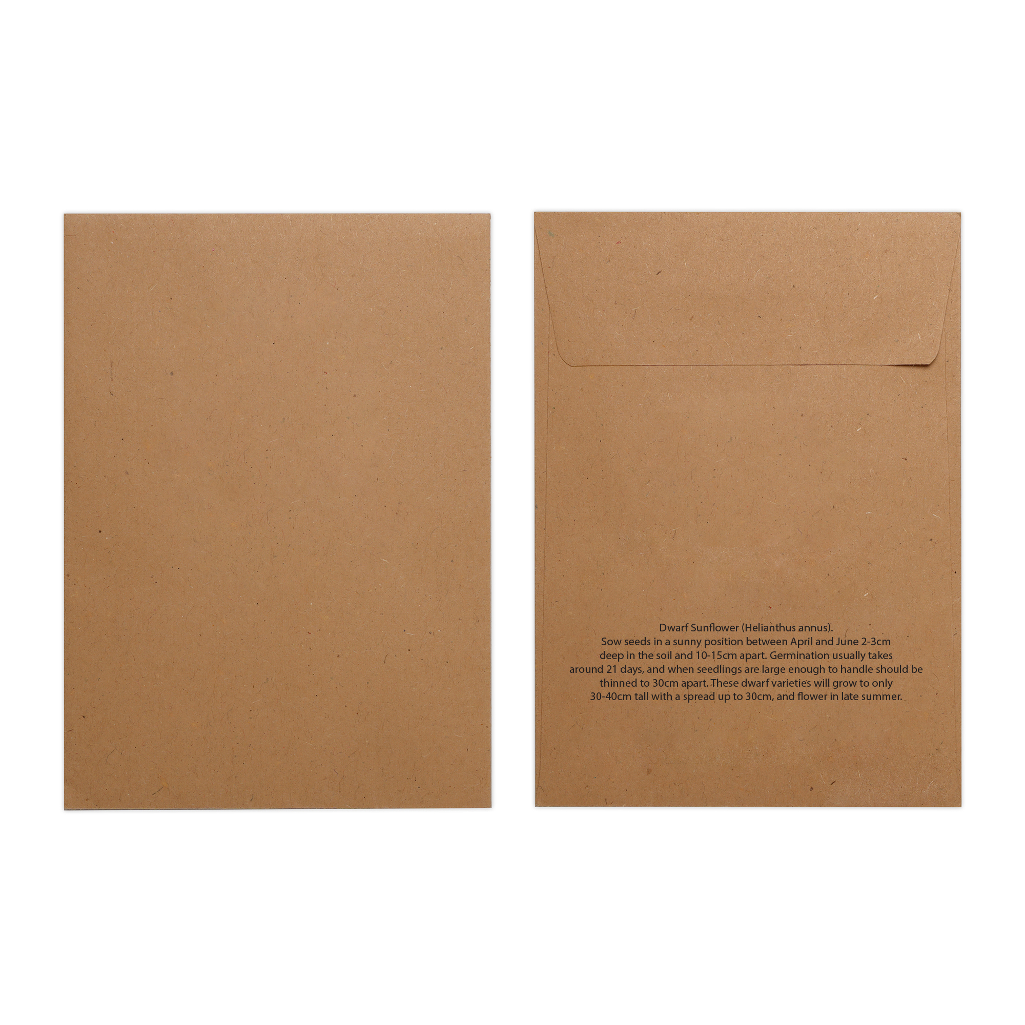 Picture of Natural Kraft Paper Seed Envelope