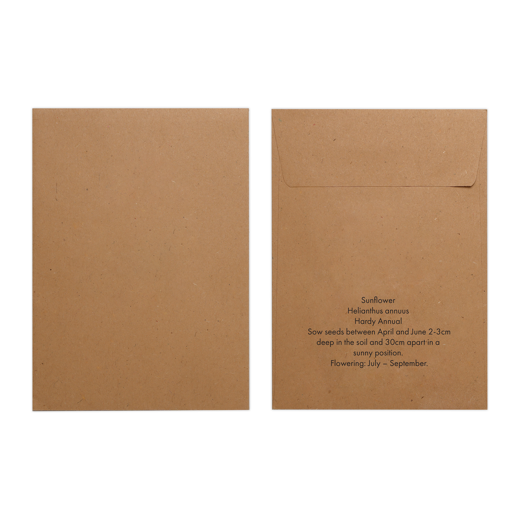 Picture of Natural Kraft Paper Seed Envelope