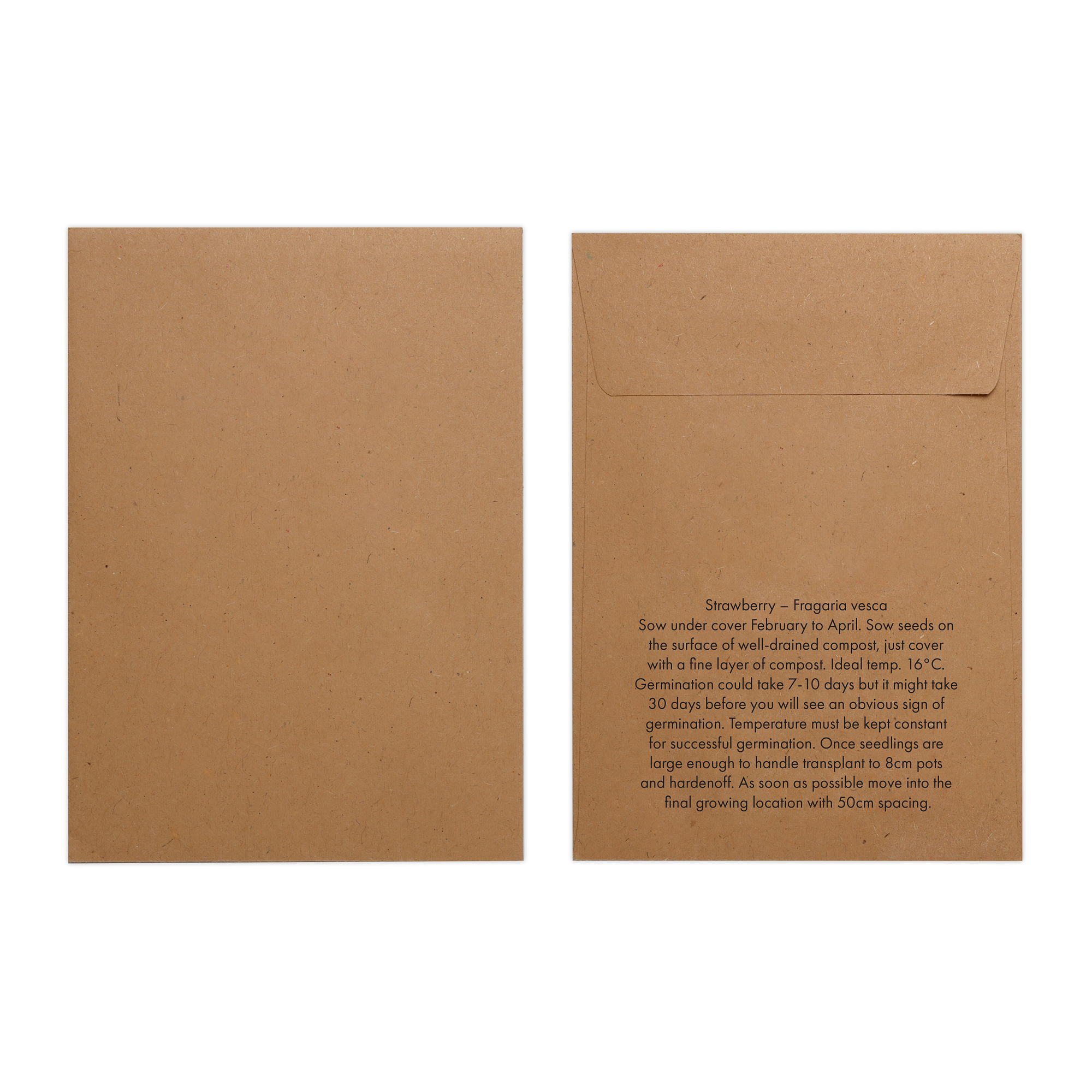 Picture of Natural Kraft Paper Seed Envelope