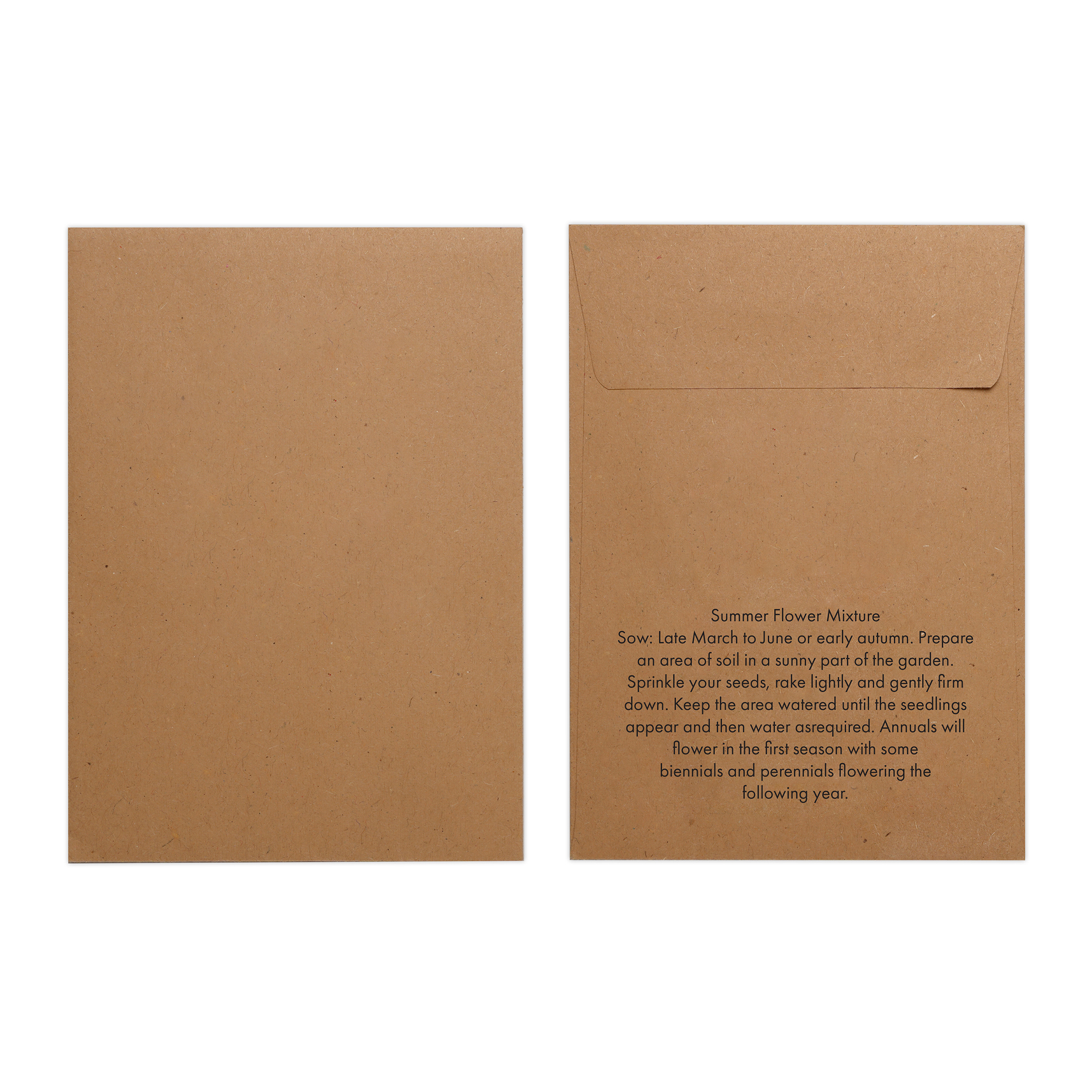 Picture of Natural Kraft Paper Seed Envelope