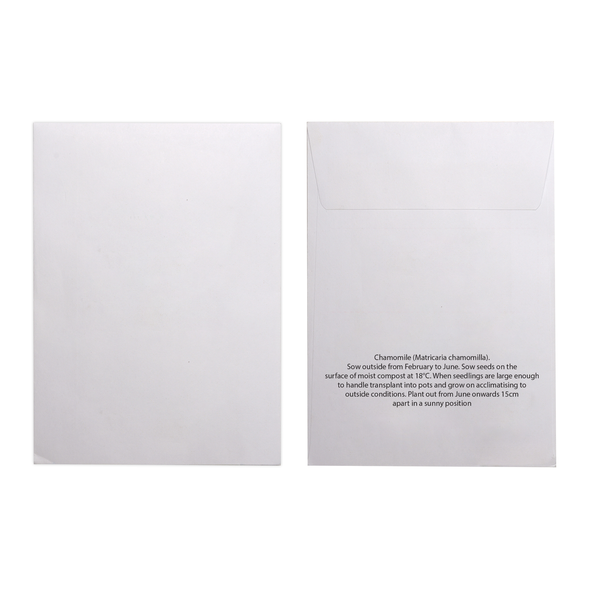 Picture of White Paper Seed Envelope