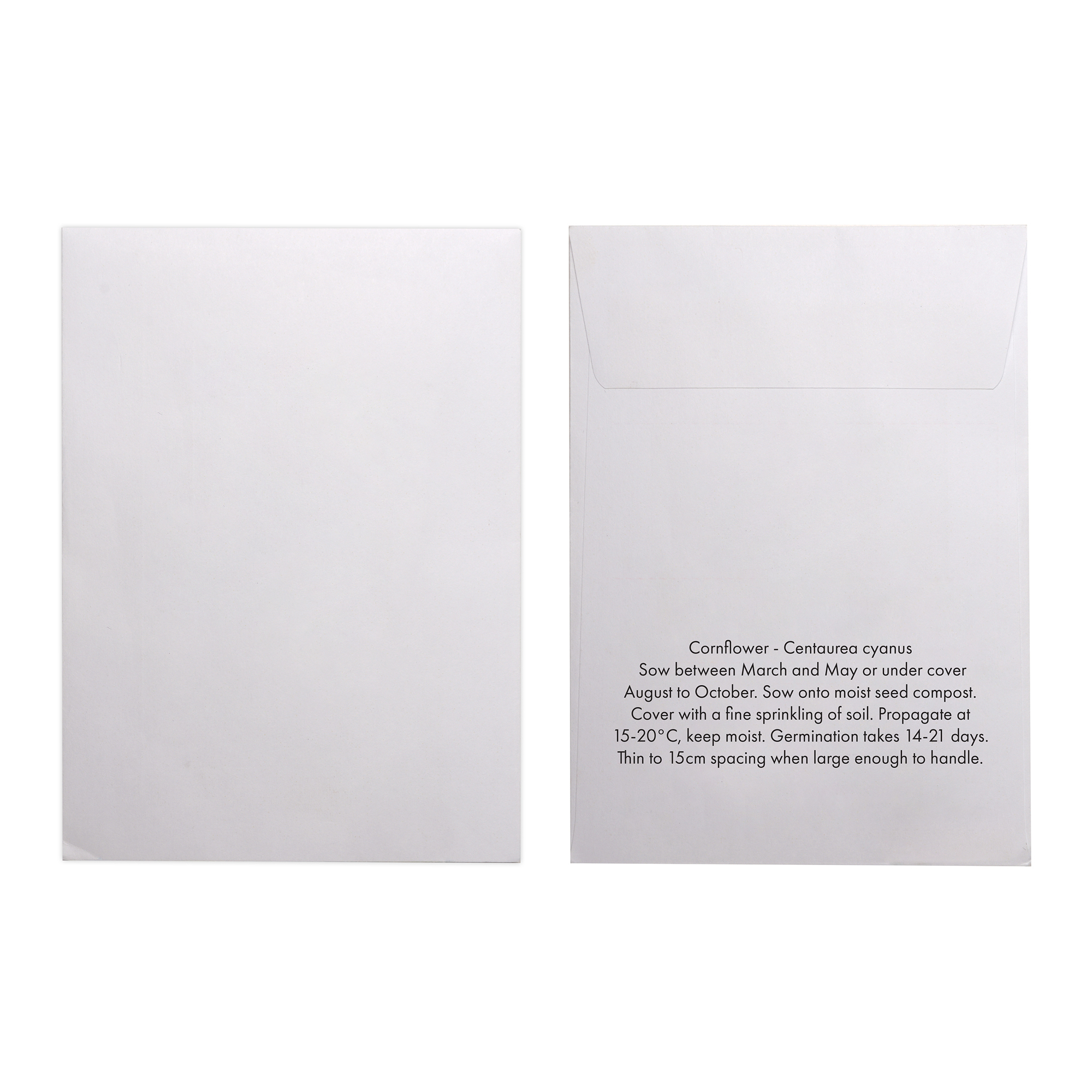 Picture of White Paper Seed Envelope