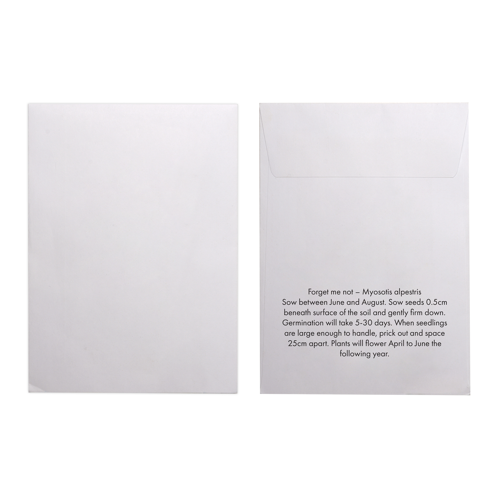 Picture of White Paper Seed Envelope