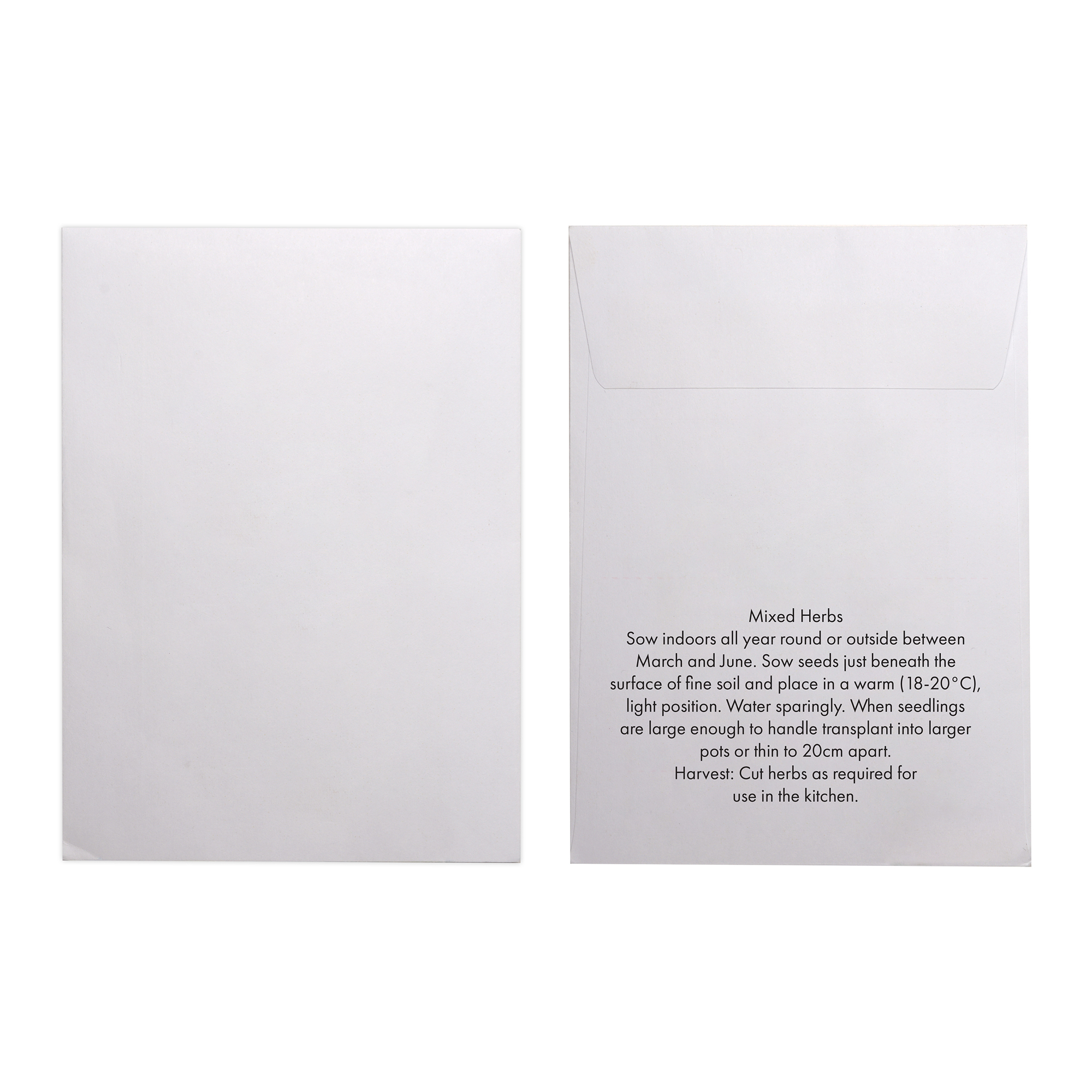 Picture of White Paper Seed Envelope
