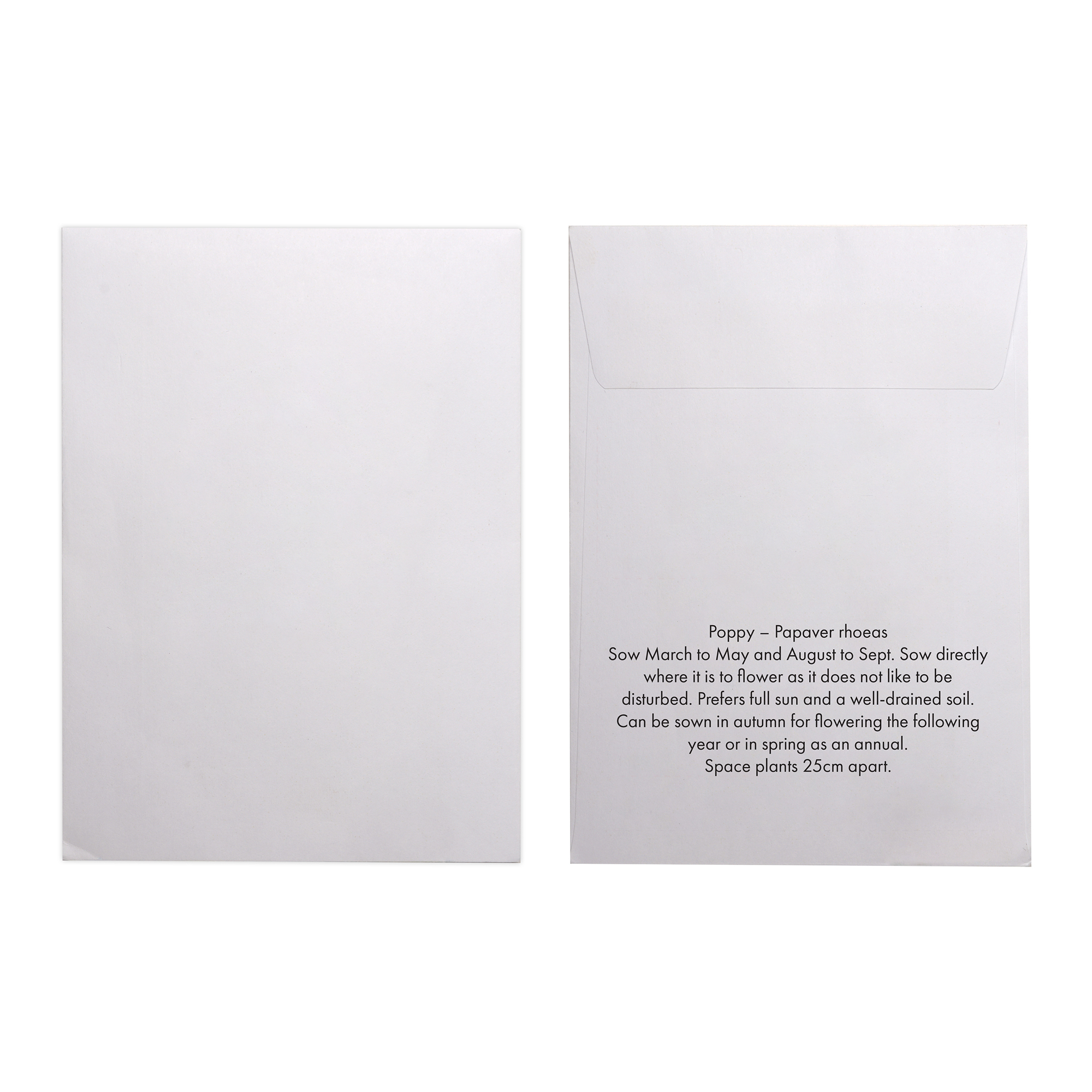 Picture of White Paper Seed Envelope
