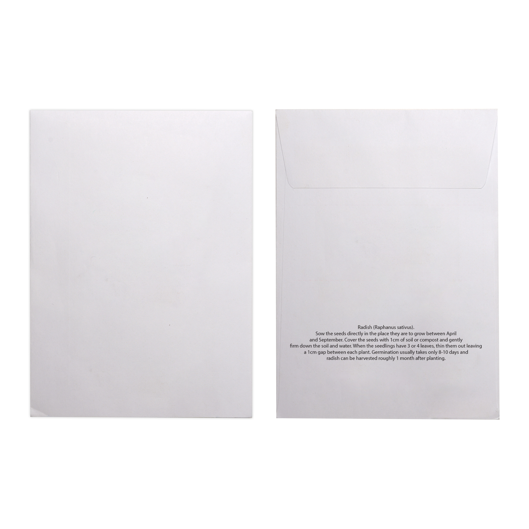 Picture of White Paper Seed Envelope