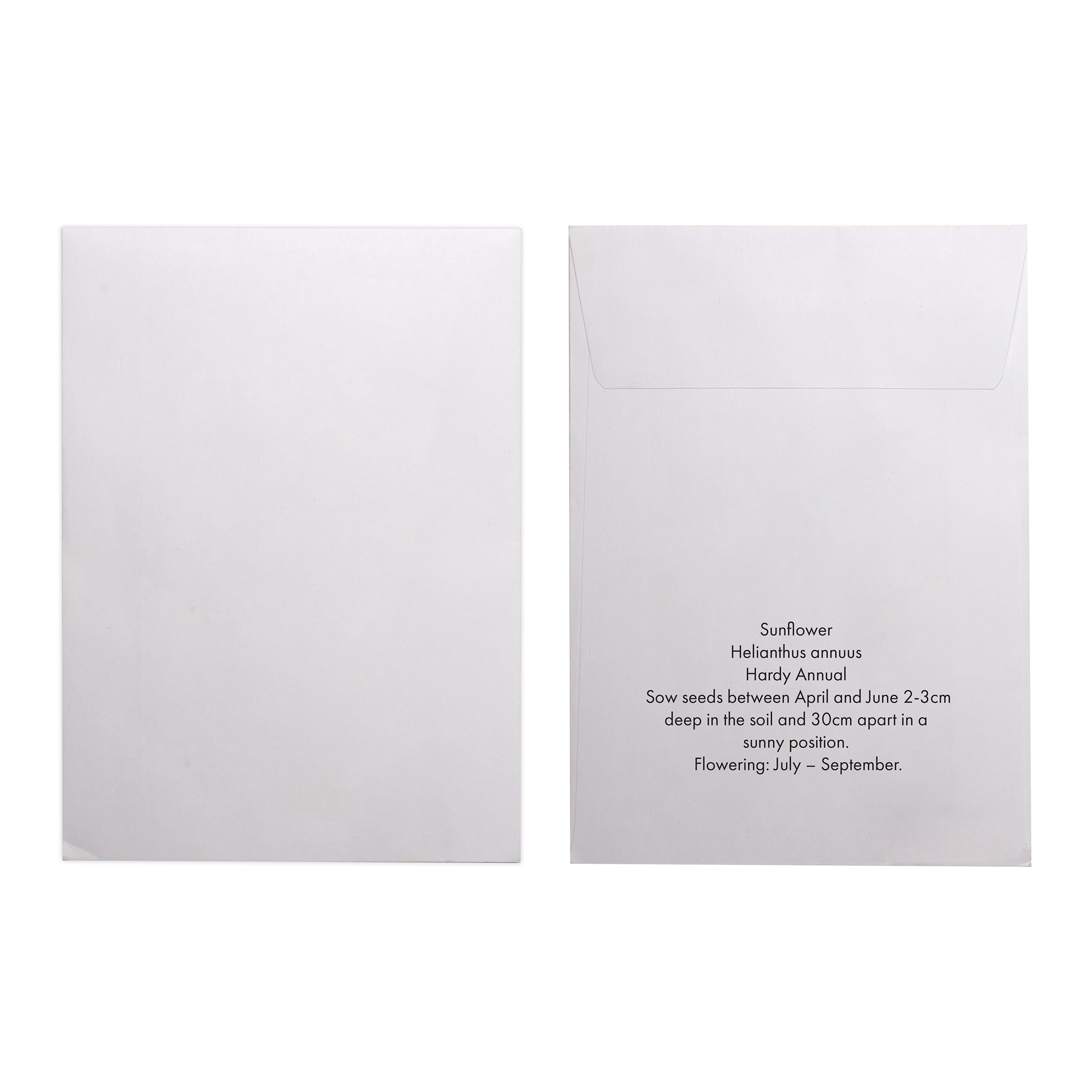 Picture of White Paper Seed Envelope