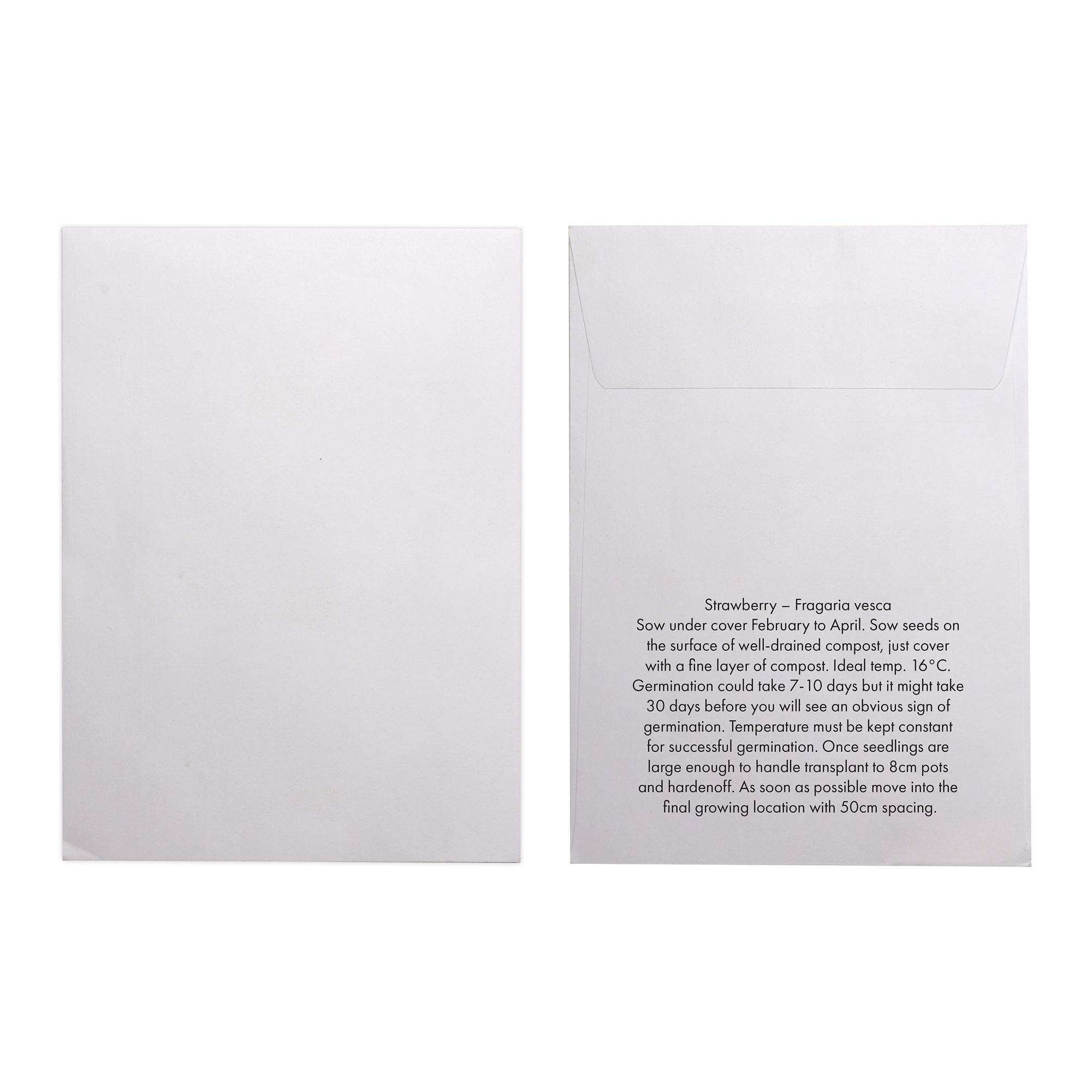 Picture of White Paper Seed Envelope