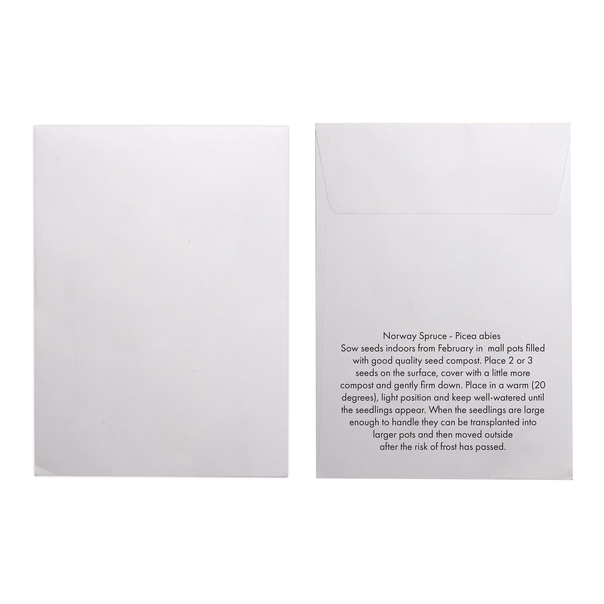 Picture of White Paper Seed Envelope