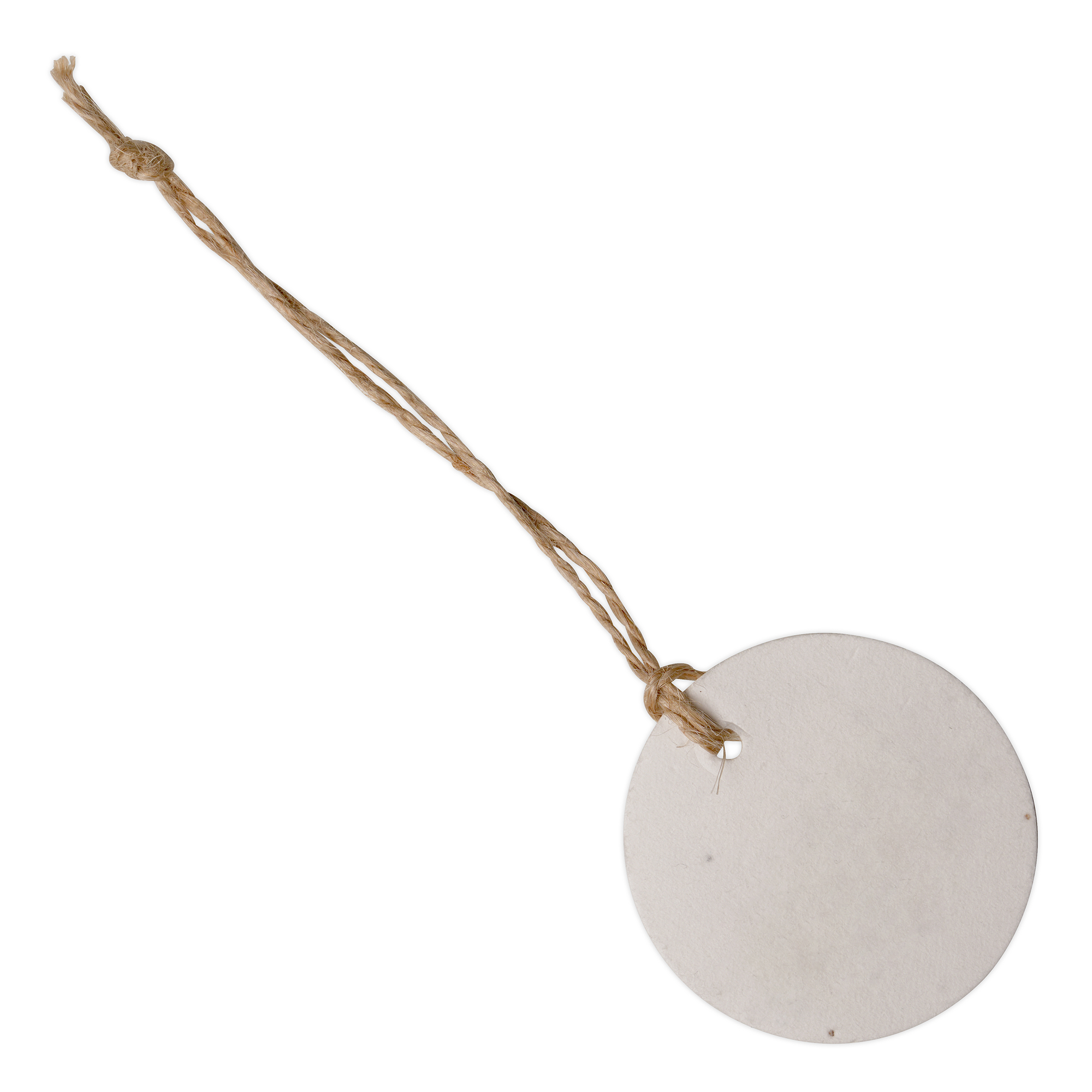 Picture of Seed Paper Swing Tag