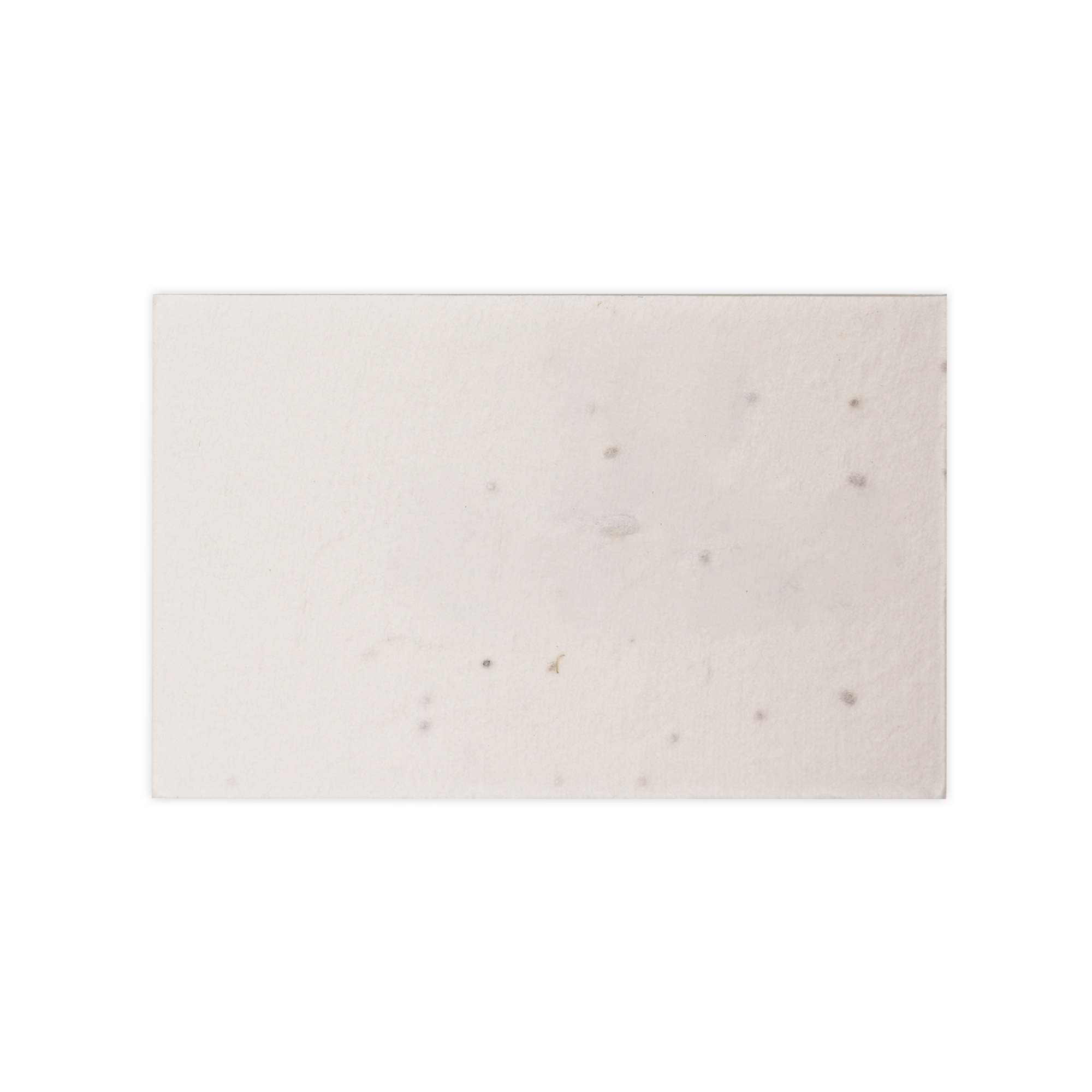Picture of Seed Paper Business Card