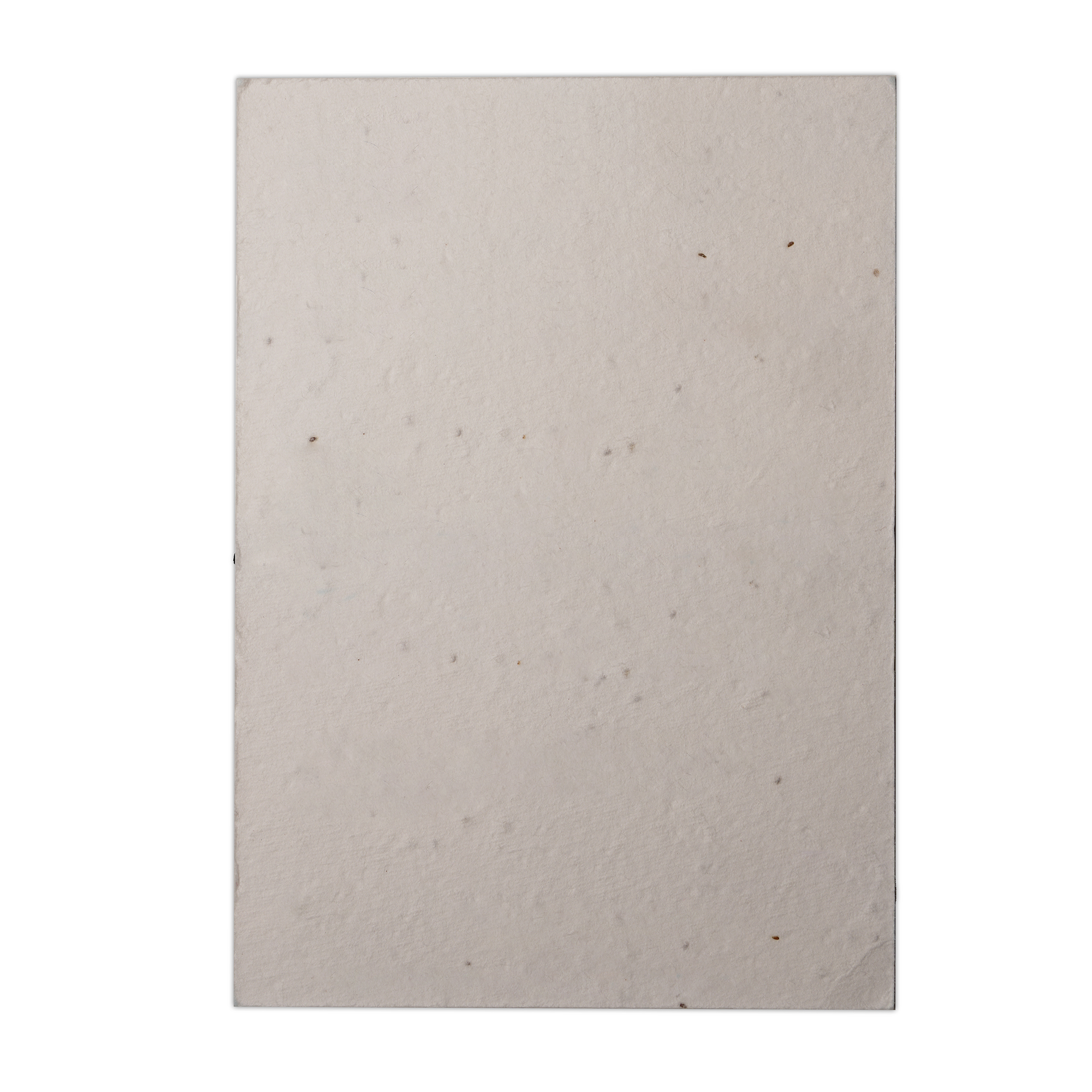 Picture of A6 Seed Paper Postcard