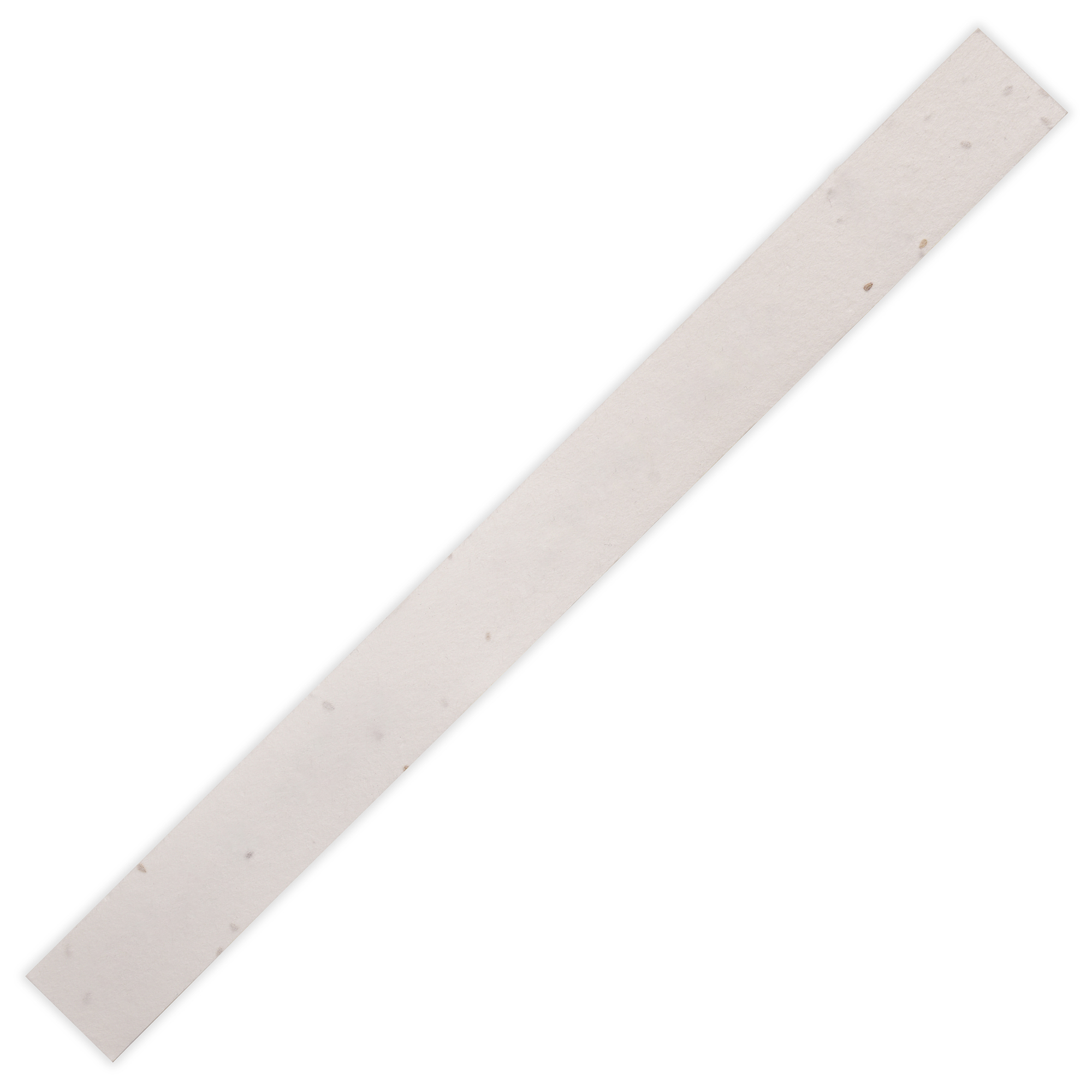 Picture of Seed Paper Wristband