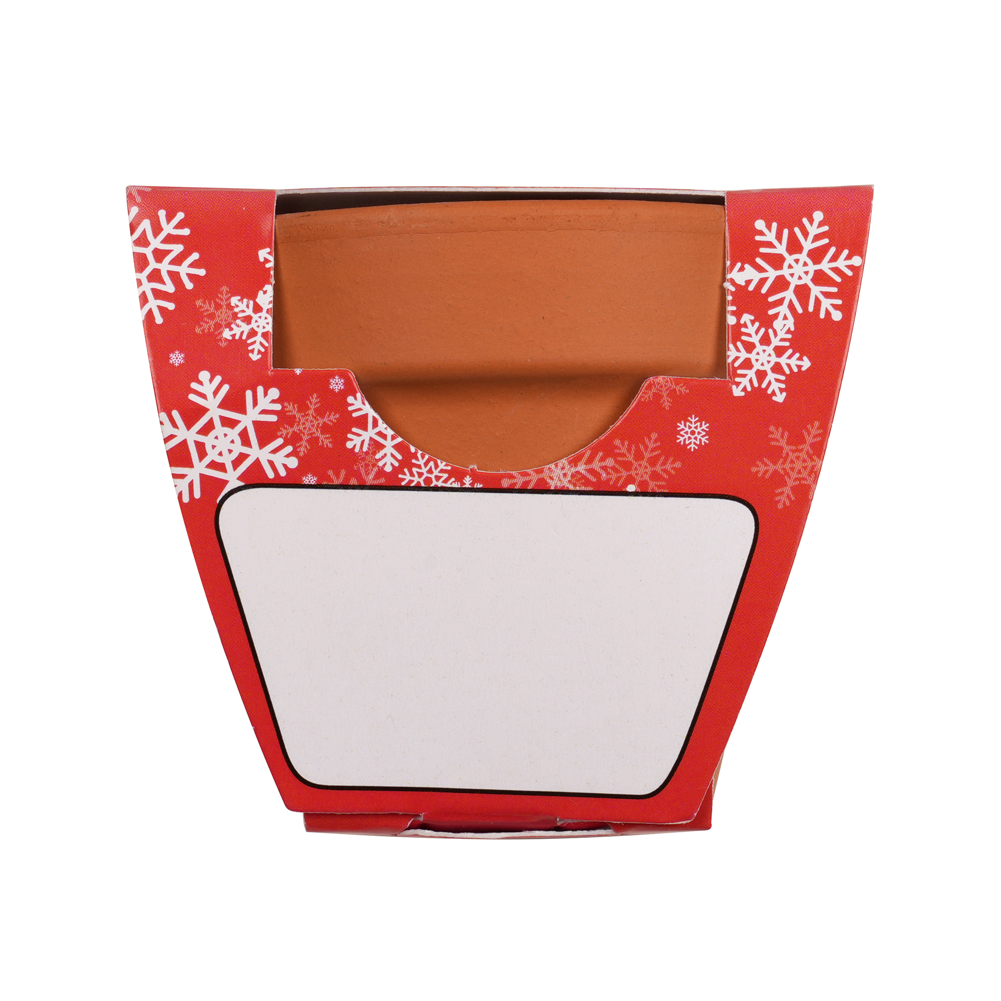 Picture of Standard Growing Gift with Mini Terracotta Pot