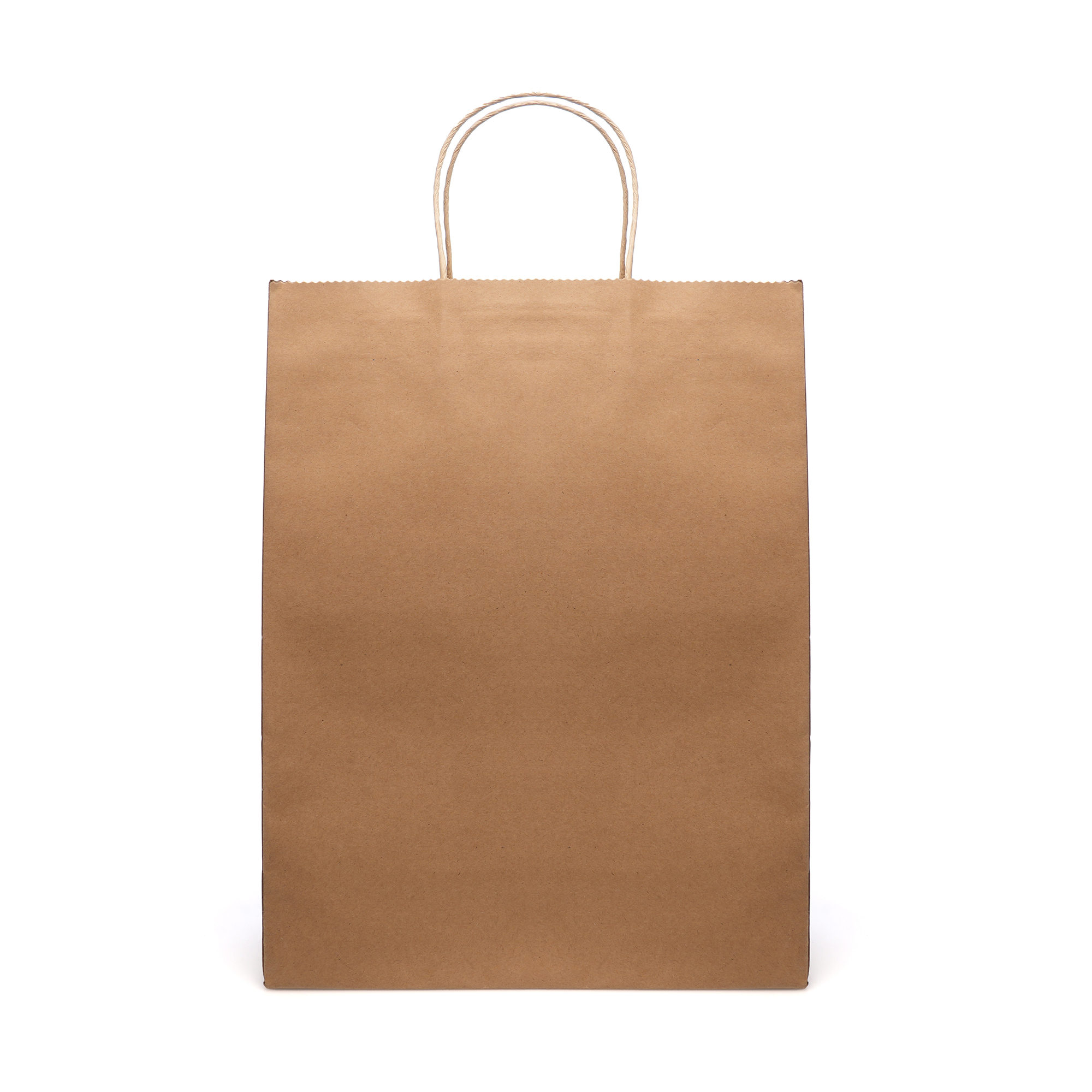 Picture of Brunswick Large Natural Paper Bag
