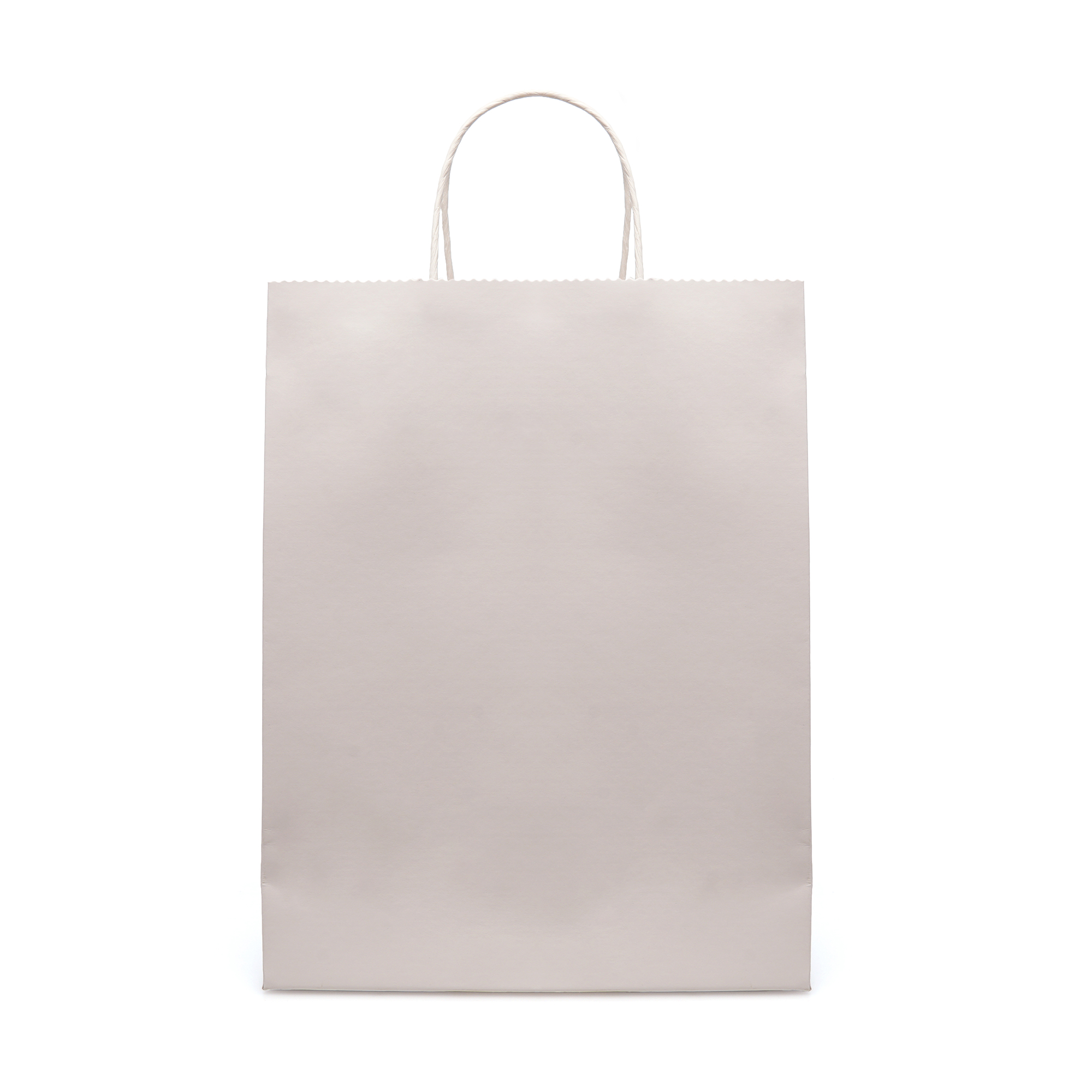Picture of Brunswick Large White Paper Bag