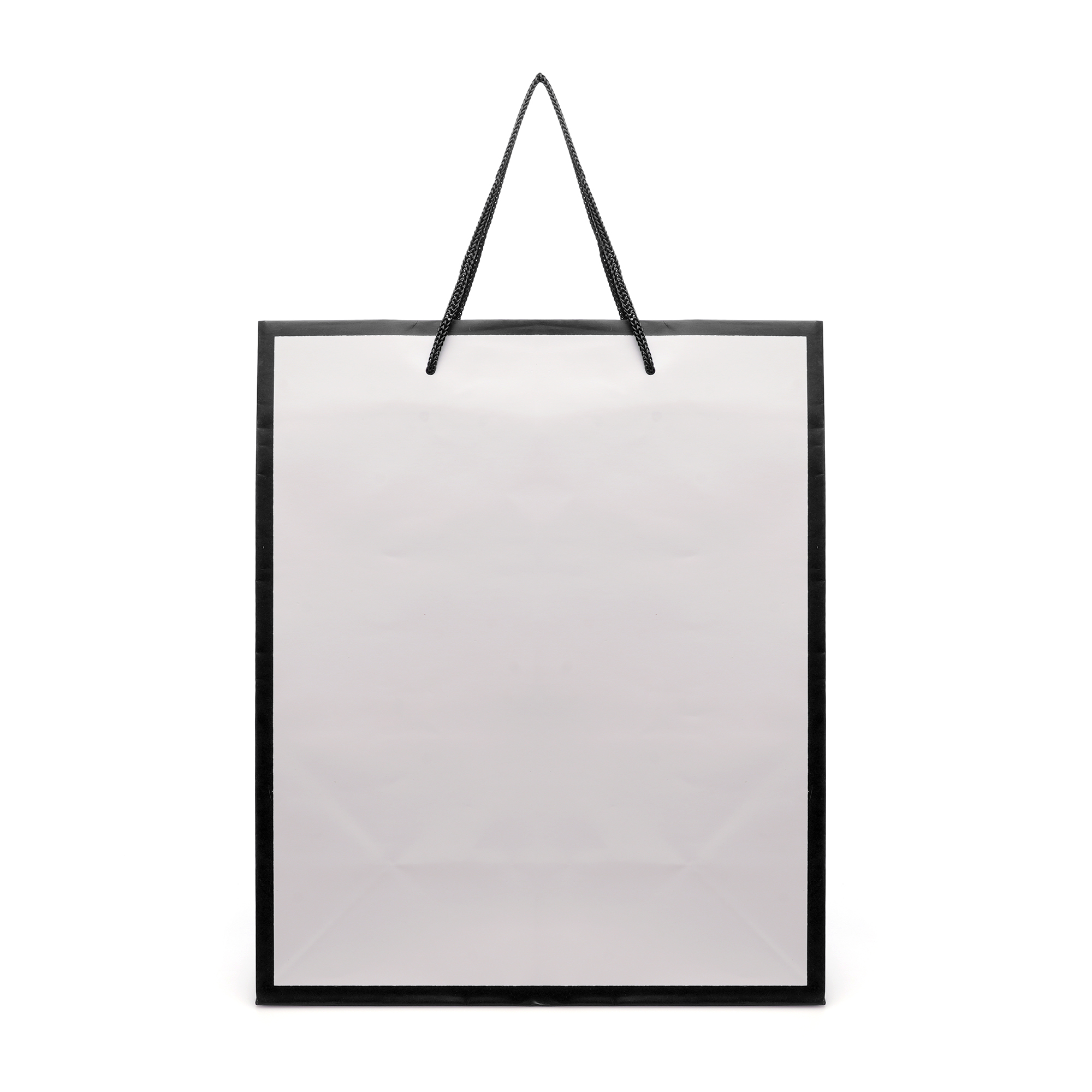 Picture of Newquay Medium Glossy Paper Bag