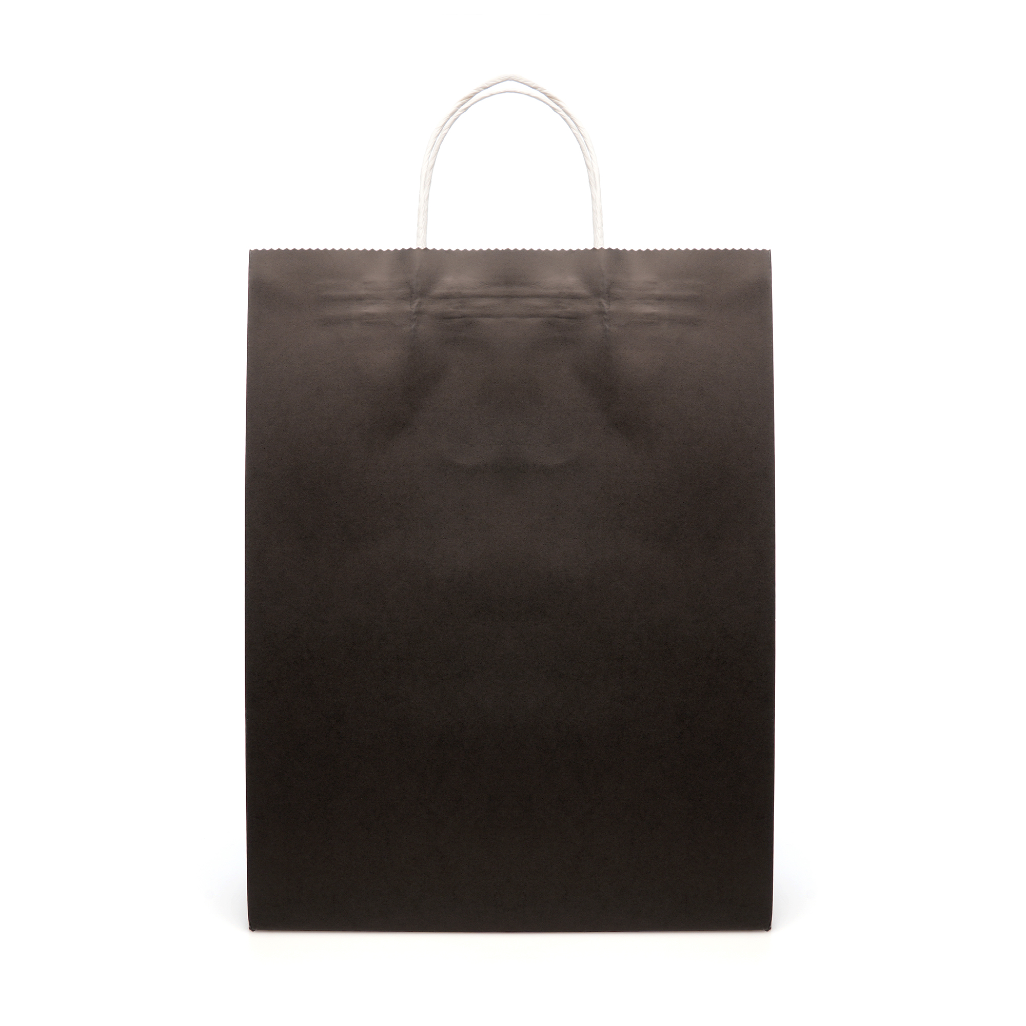 Picture of Brunswick Large Coloured Paper Bag